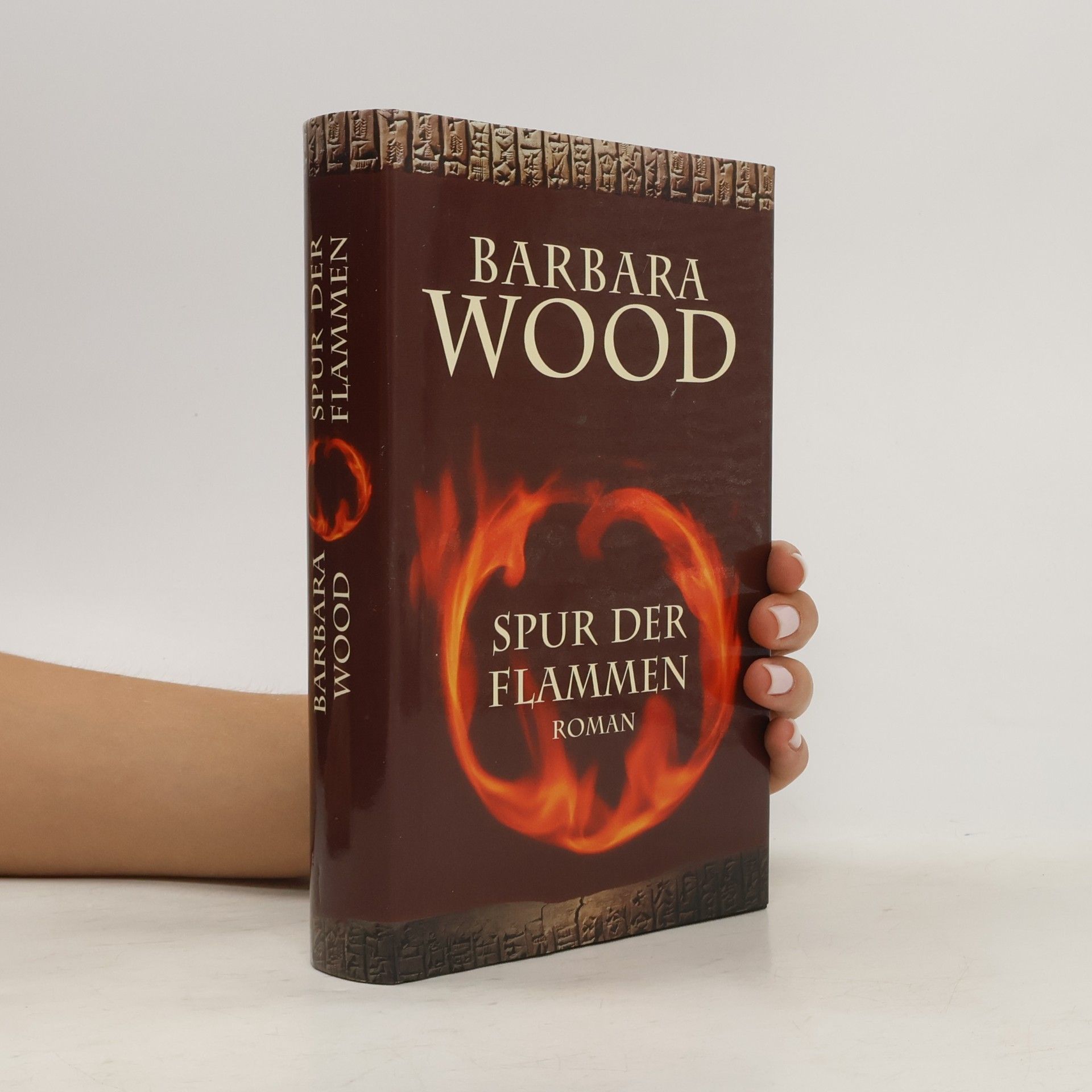 Barbara Wood Spur der Flammen
