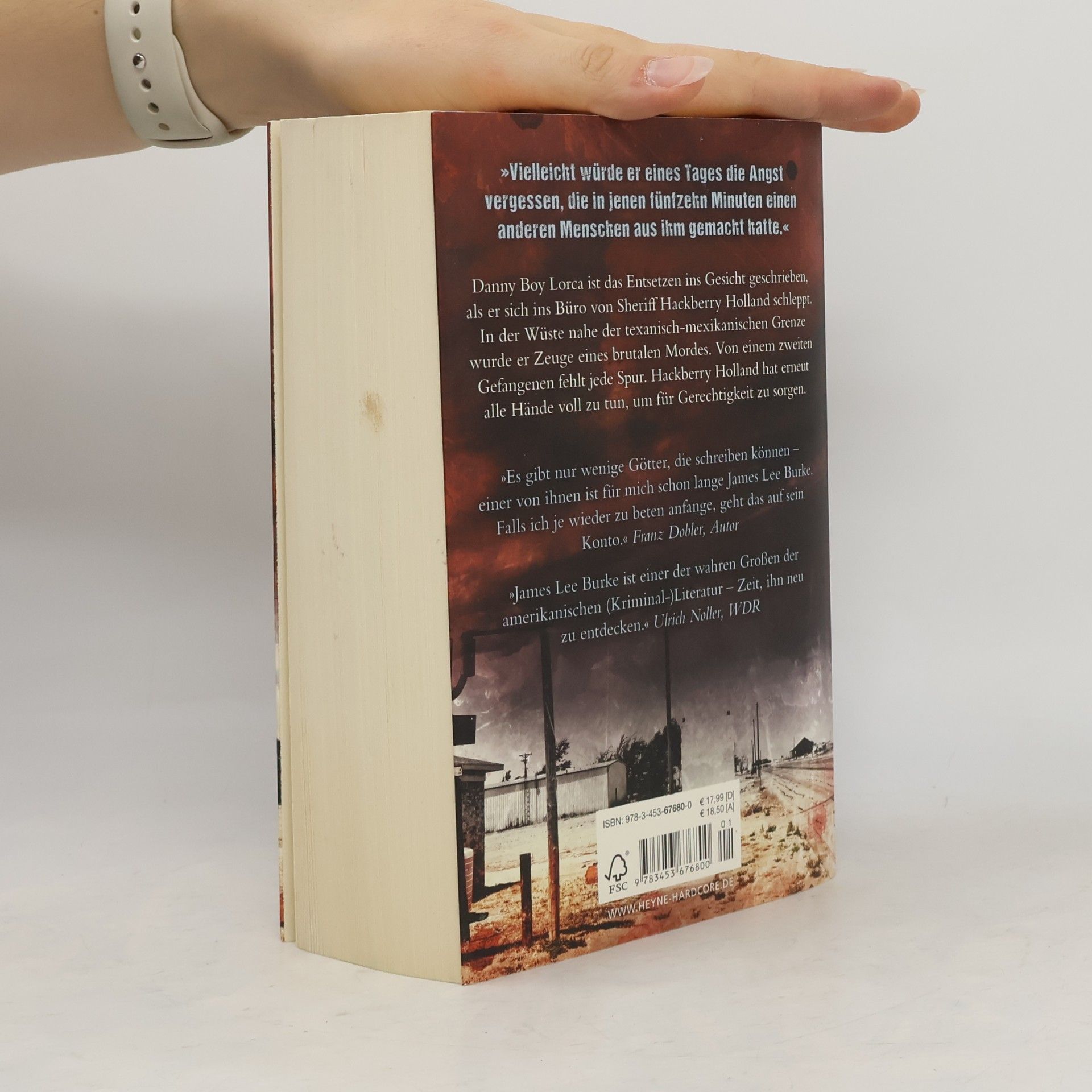James Lee Burke Glut und Asche
