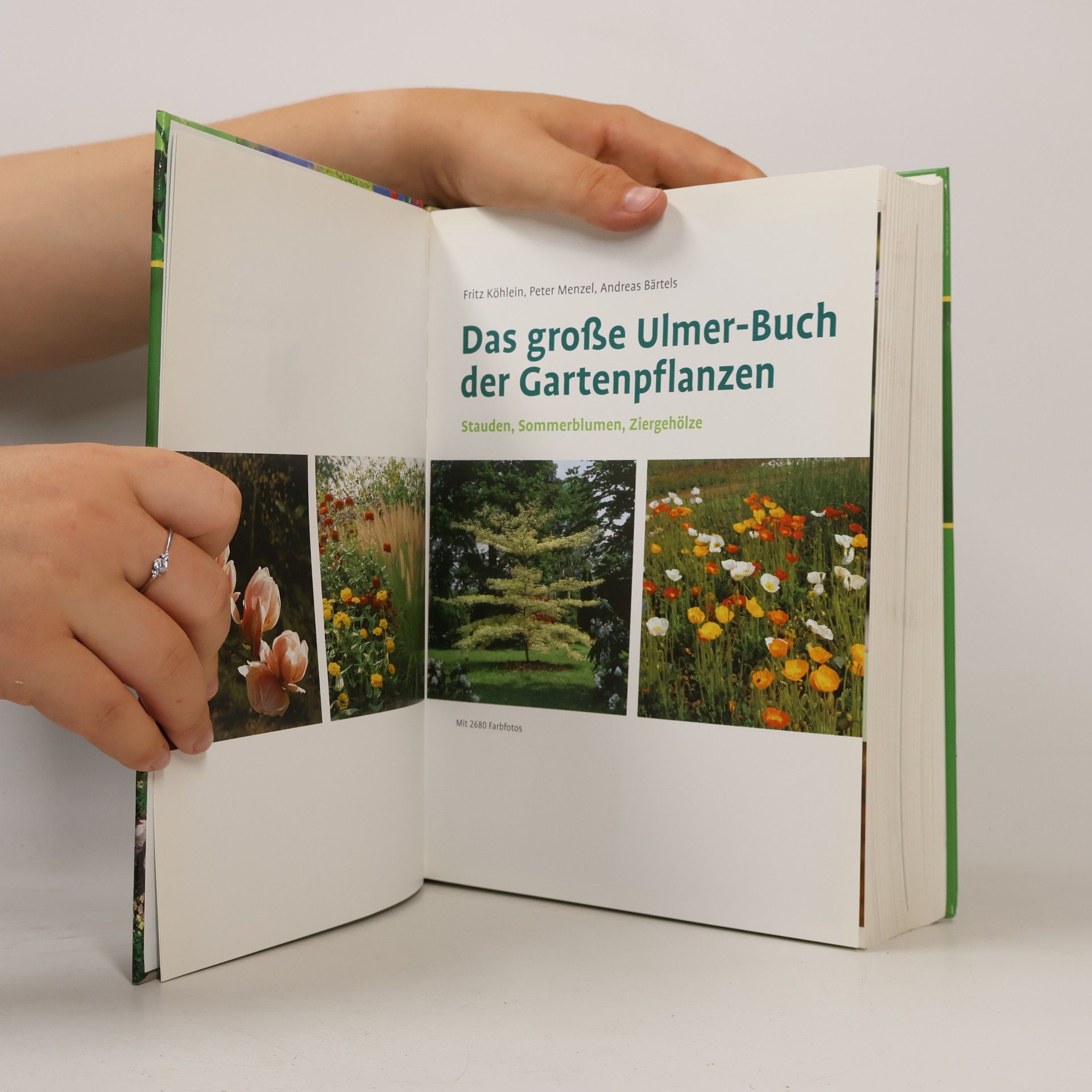 Fritz Köhlein Das große Ulmer-Buch der Gartenpflanzen
