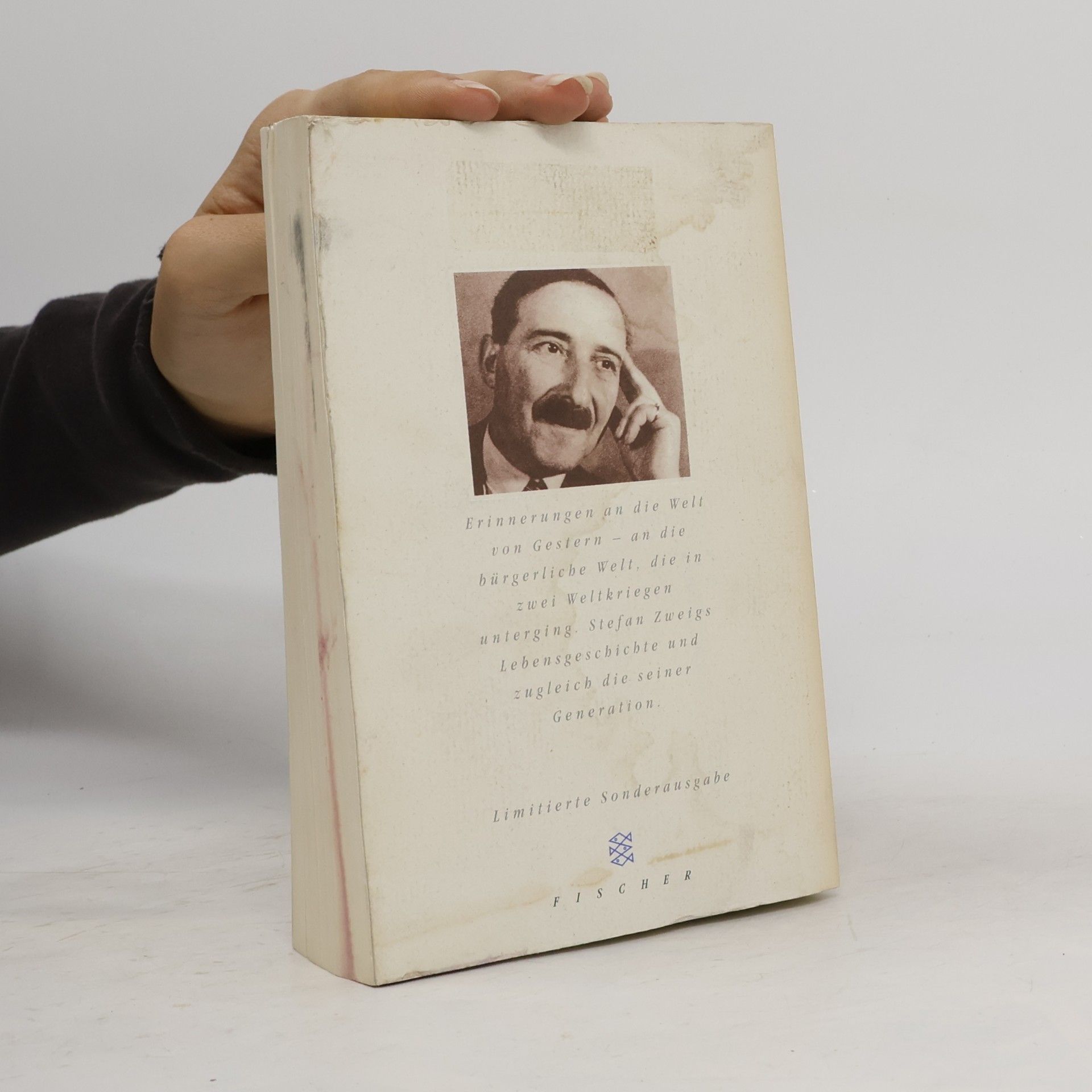 Stefan Zweig Die Welt von Gestern