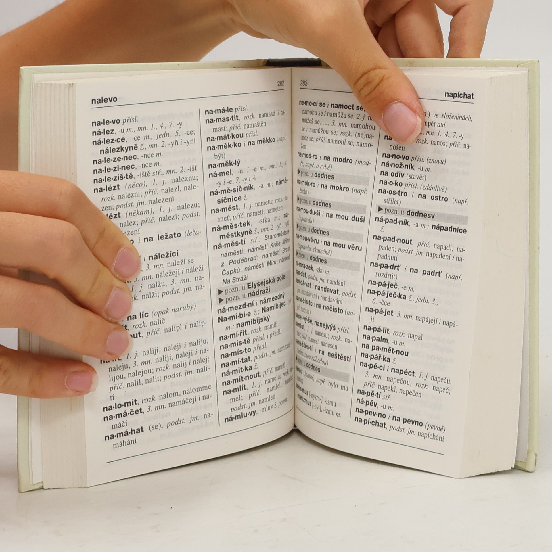 Autores varios Pravidla českého pravopisu