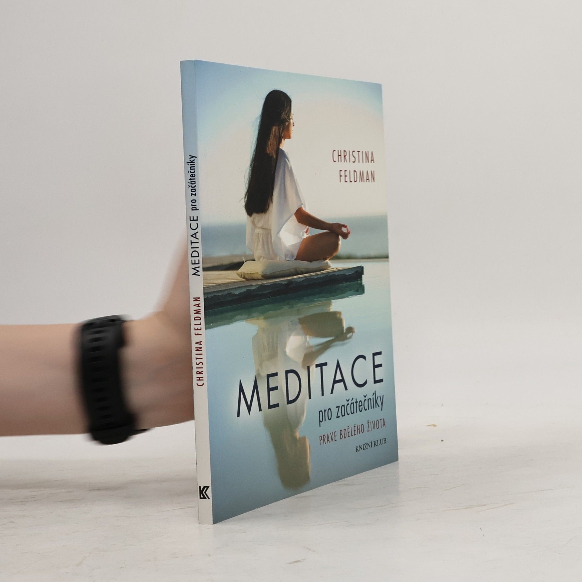 Christina Feldman Meditace pro začátečníky. Praxe bdělého života