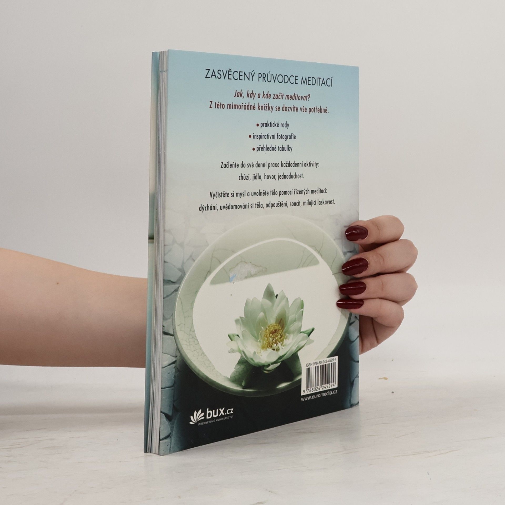 Christina Feldman Meditace pro začátečníky. Praxe bdělého života