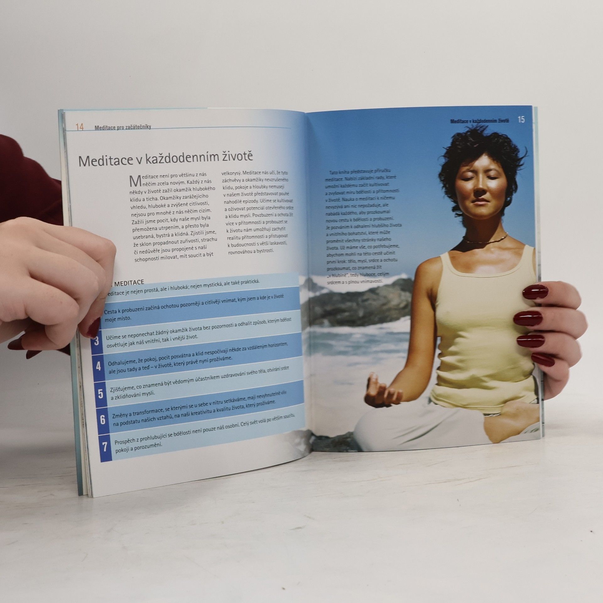 Christina Feldman Meditace pro začátečníky. Praxe bdělého života
