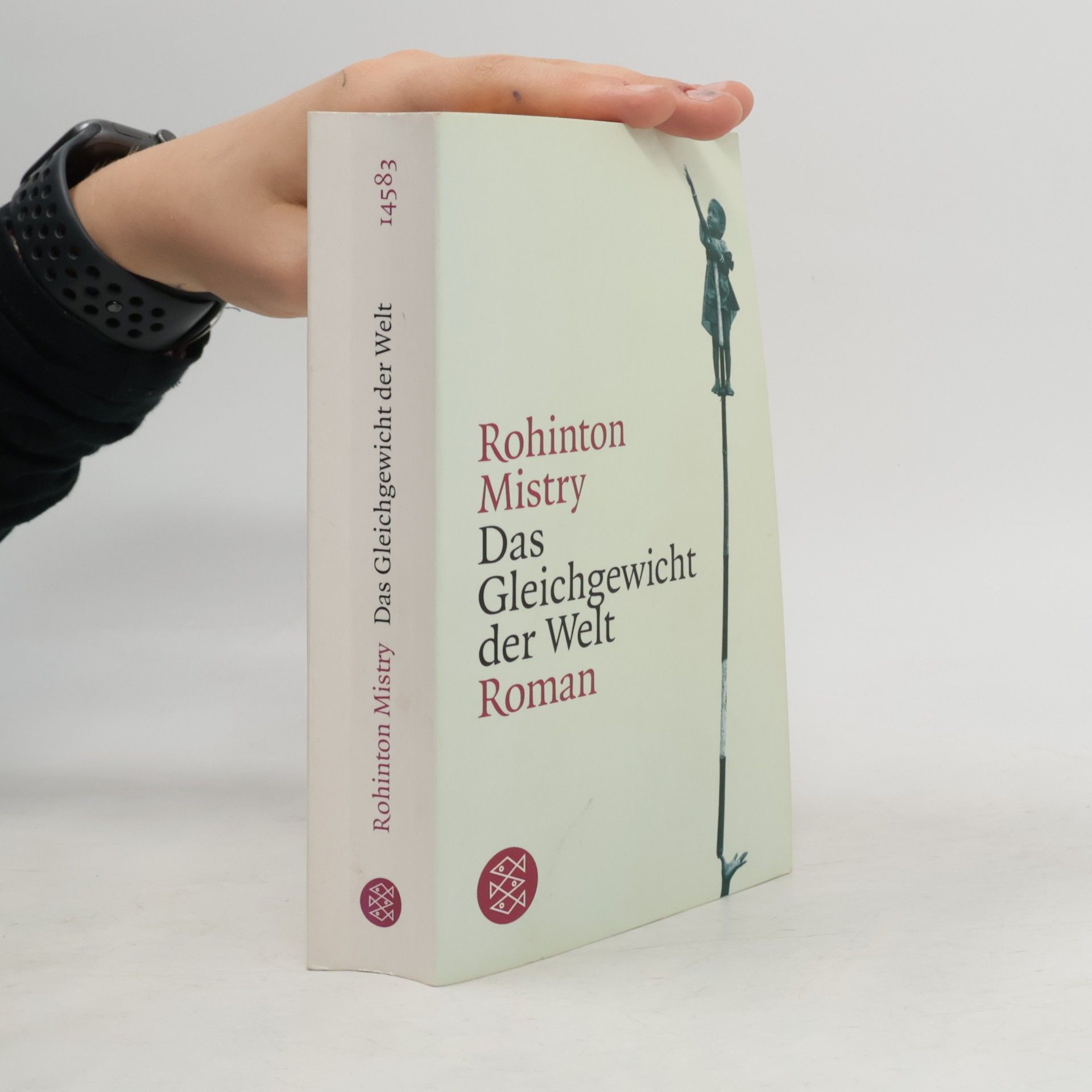 Rohinton Mistry Das Gleichgewicht der Welt
