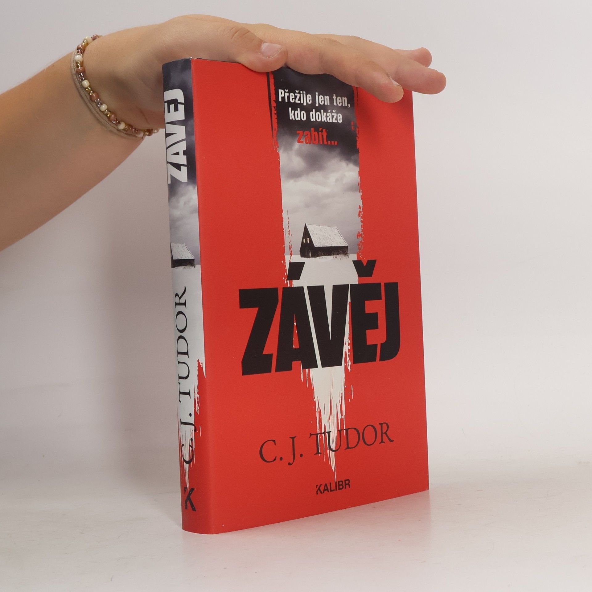 C.J. Tudor Závěj