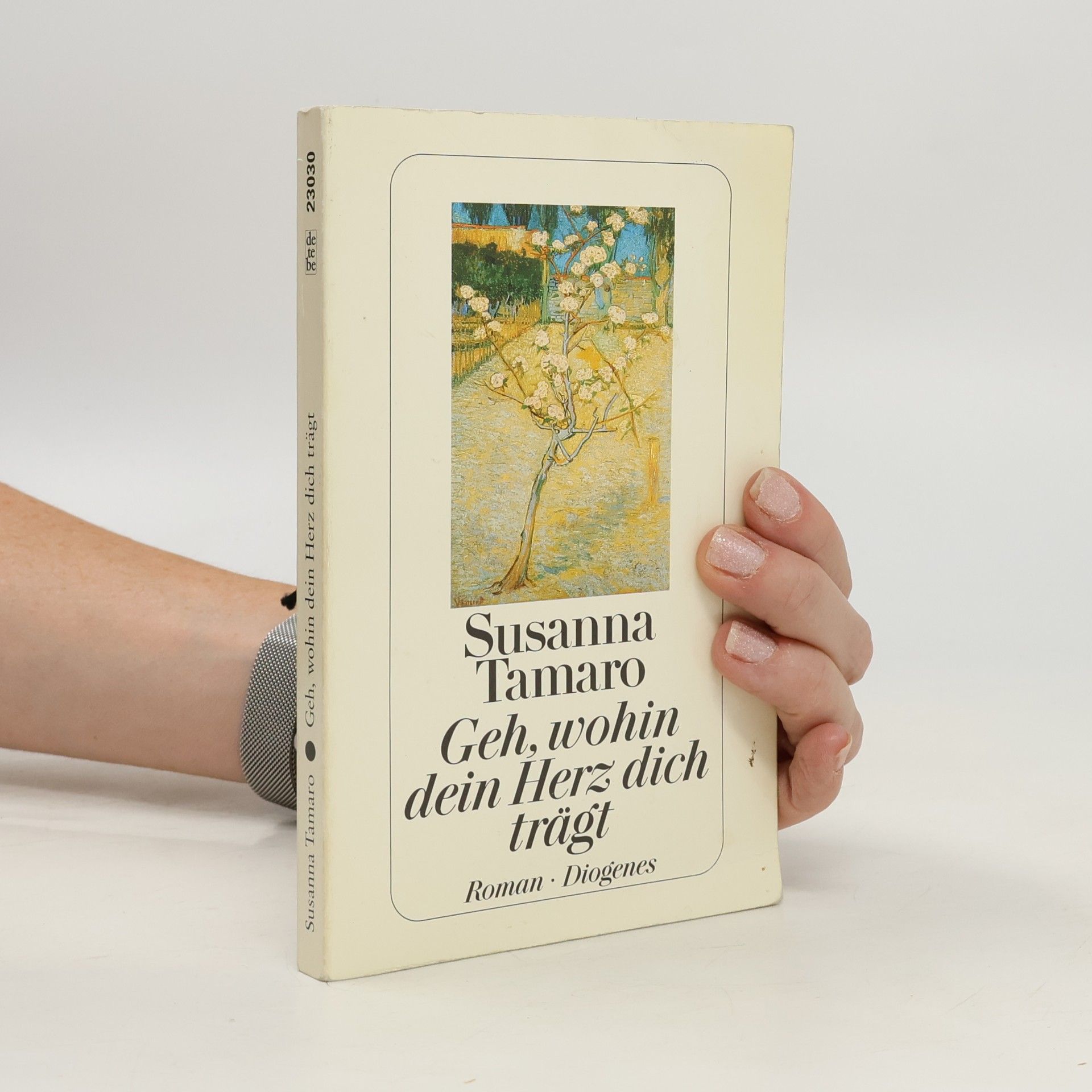 Susanna Tamaro Geh, wohin dein Herz dich trägt
