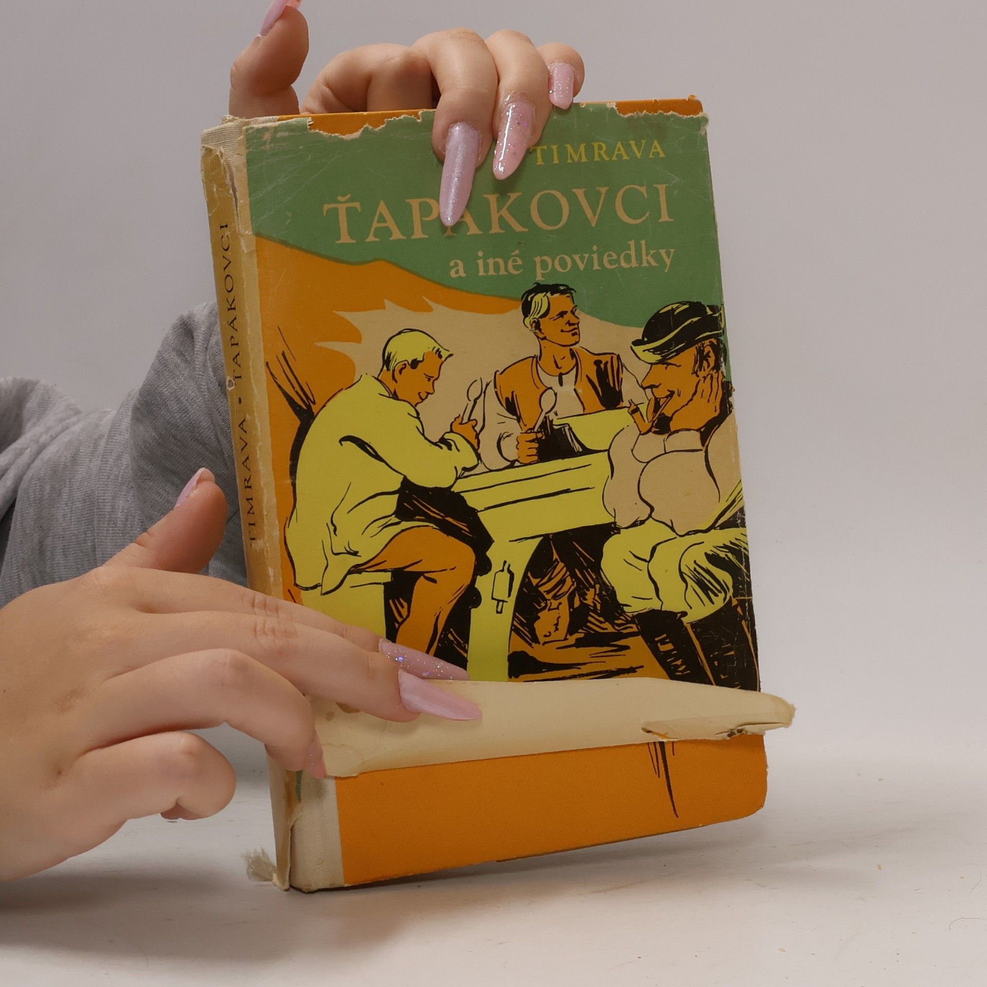 Timrava Ťapákovci a iné poviedky