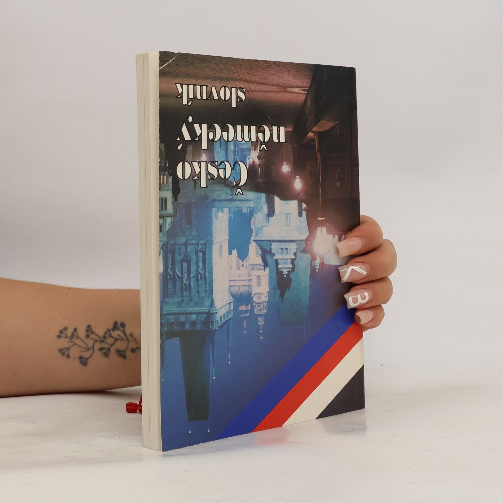 Autorenkollektiv Německo-český slovník