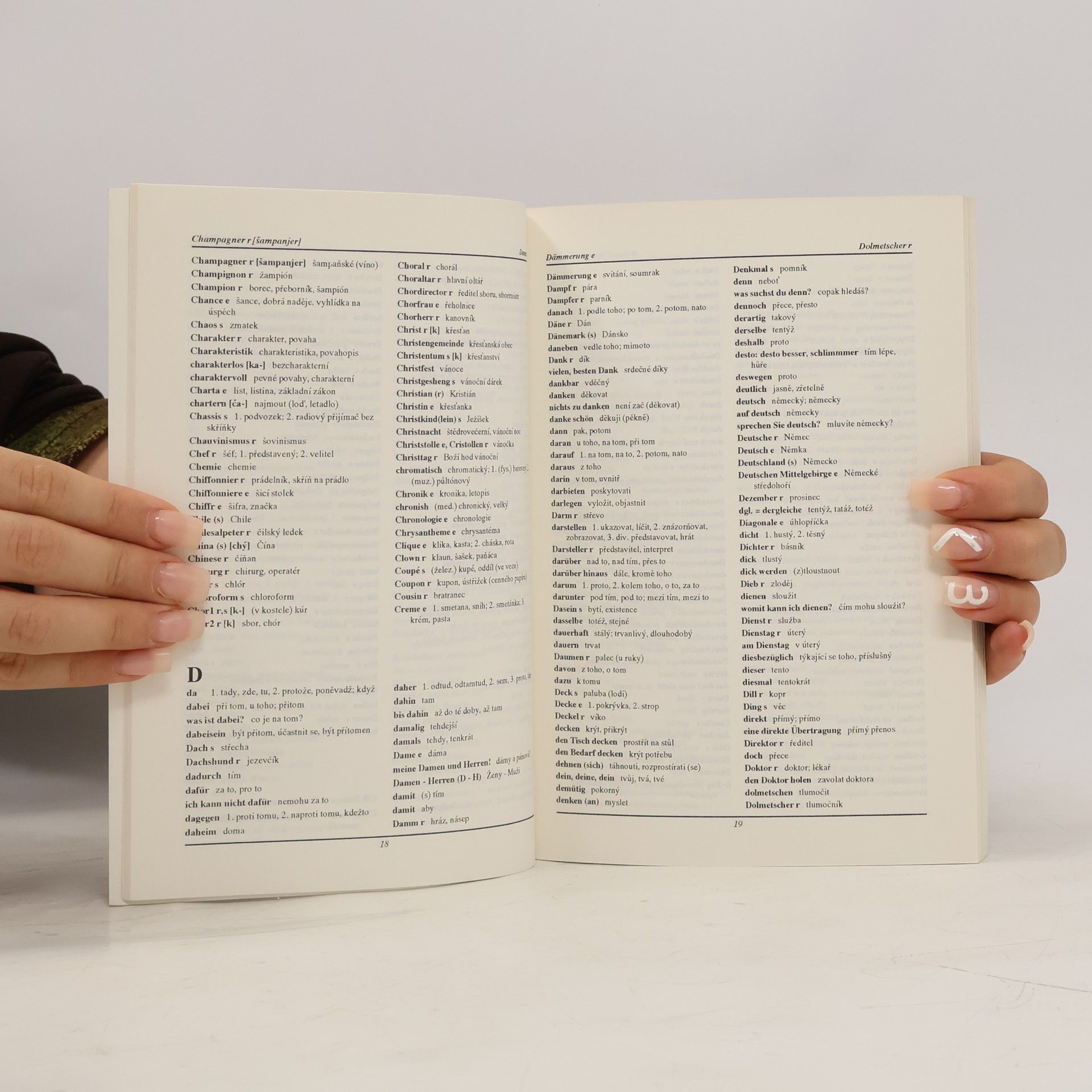 Autorenkollektiv Německo-český slovník