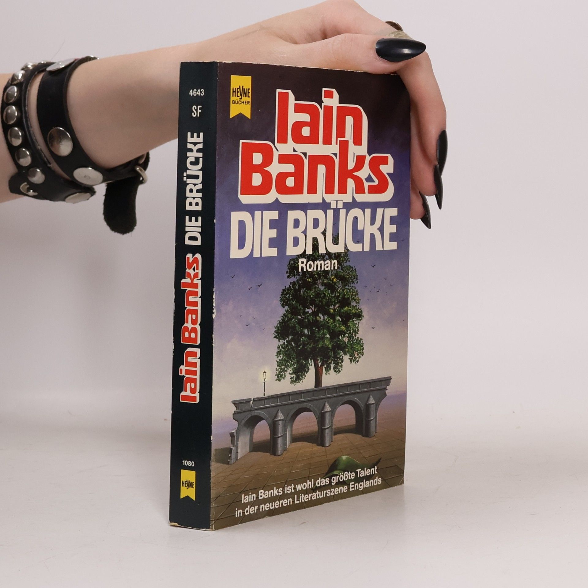 Iain Banks Die Brücke