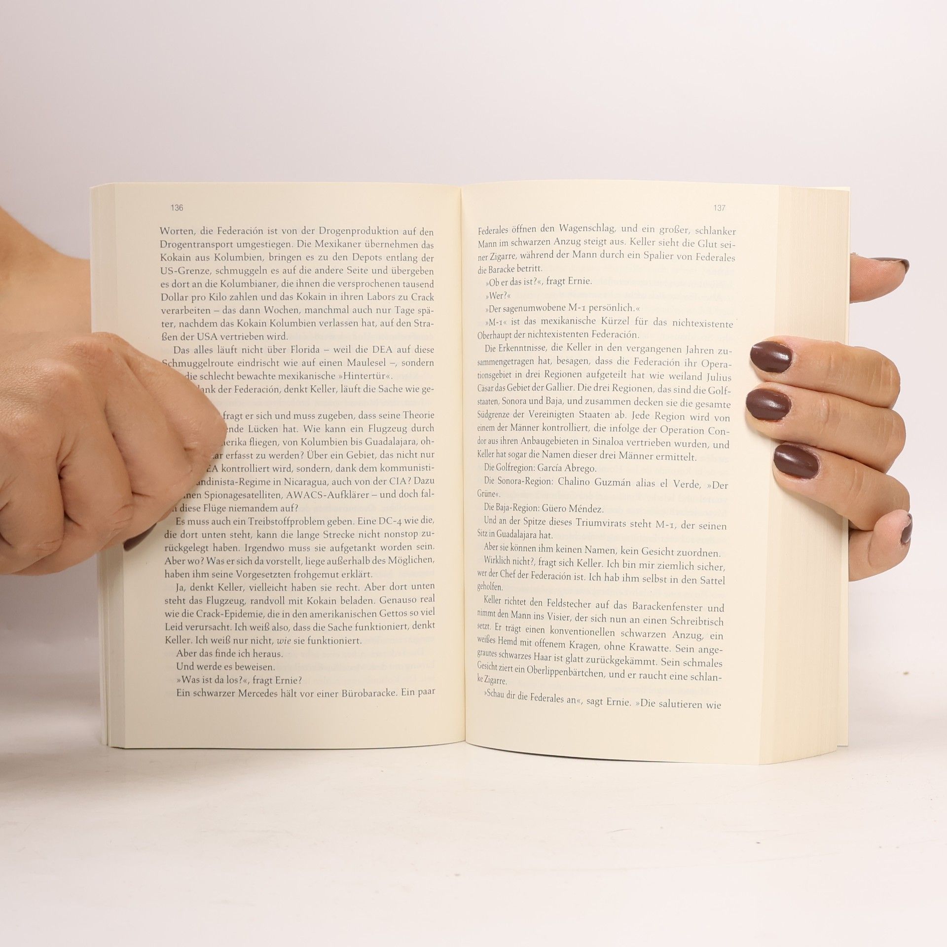 Don Winslow Tage der Toten