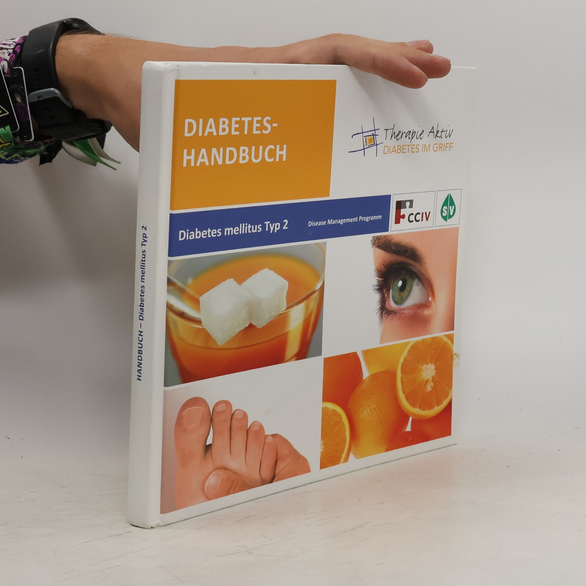 Autorenkollektiv Diabetes-Handbuch. Diabetes mellitus Typ 2