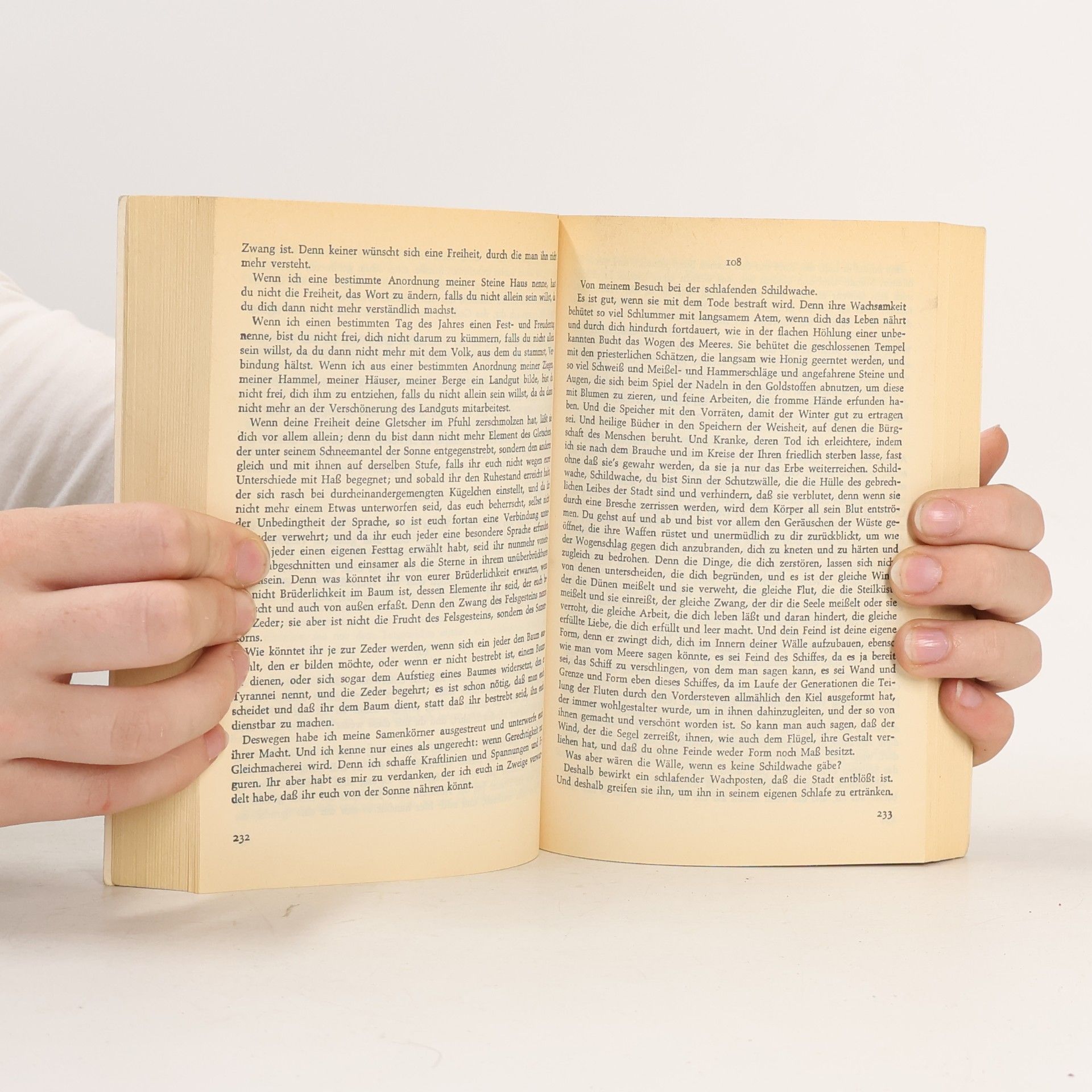Antoine de Saint-Exupéry Die Stadt in der Wüste