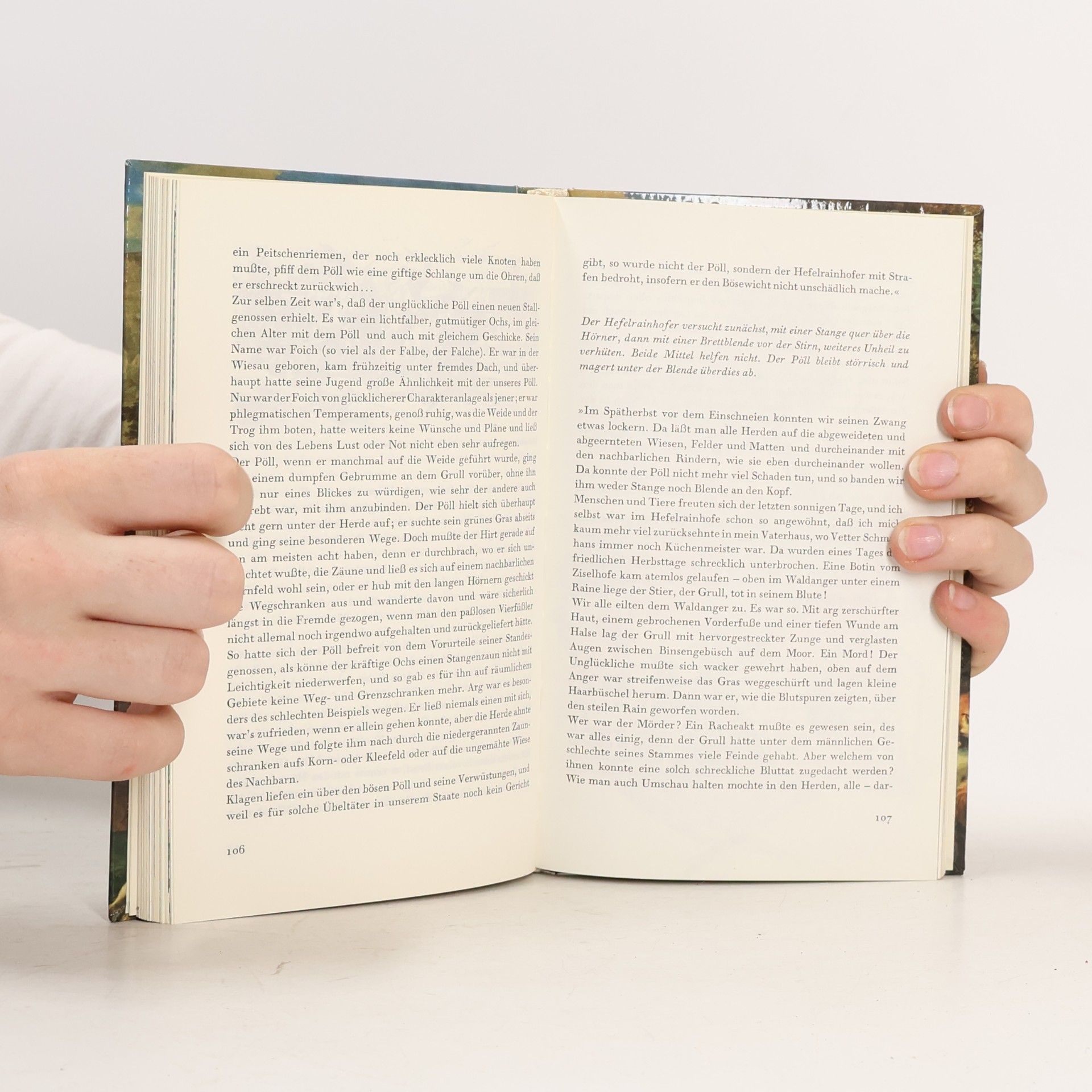 Autorenkollektiv Tiere machen meistens Freude