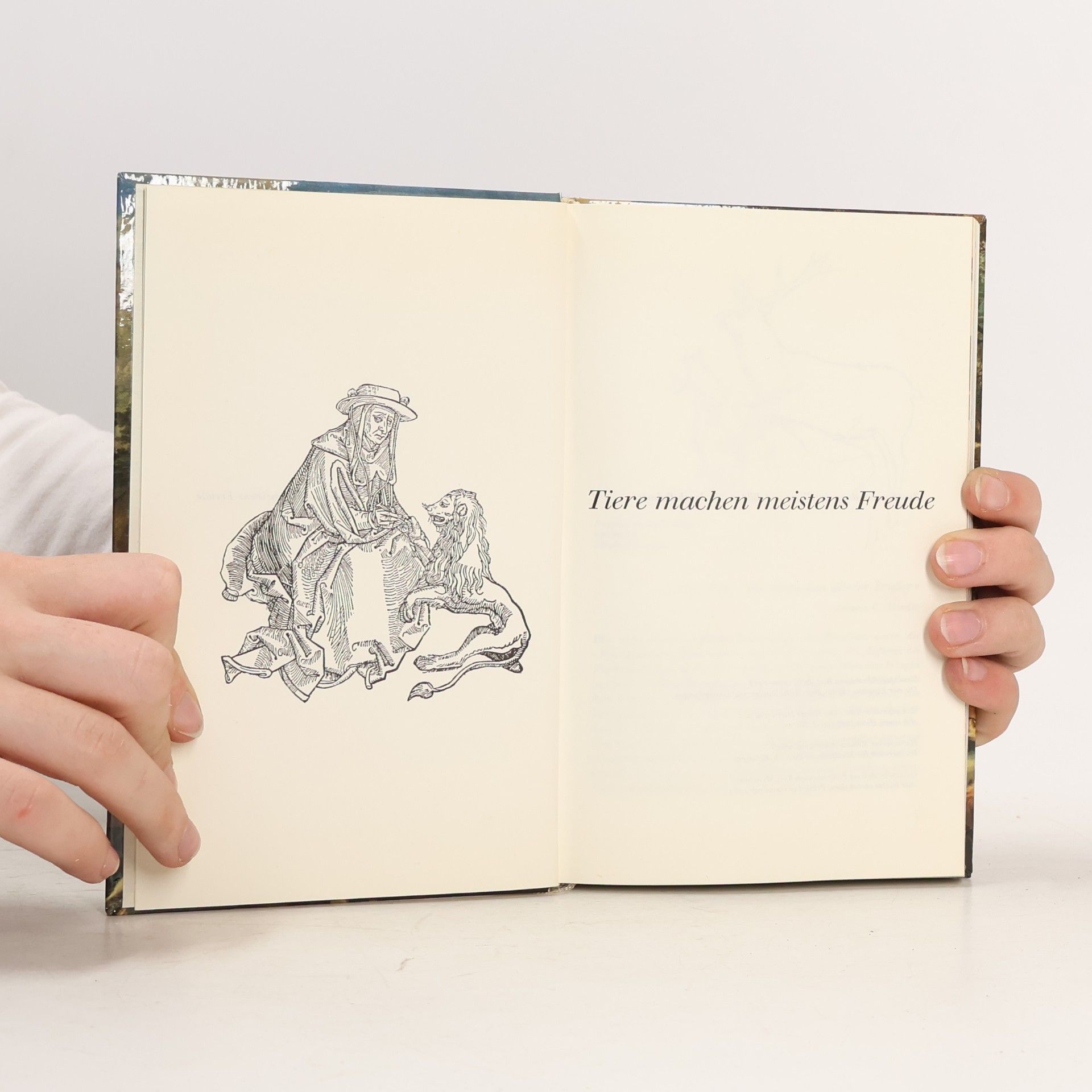 Autorenkollektiv Tiere machen meistens Freude