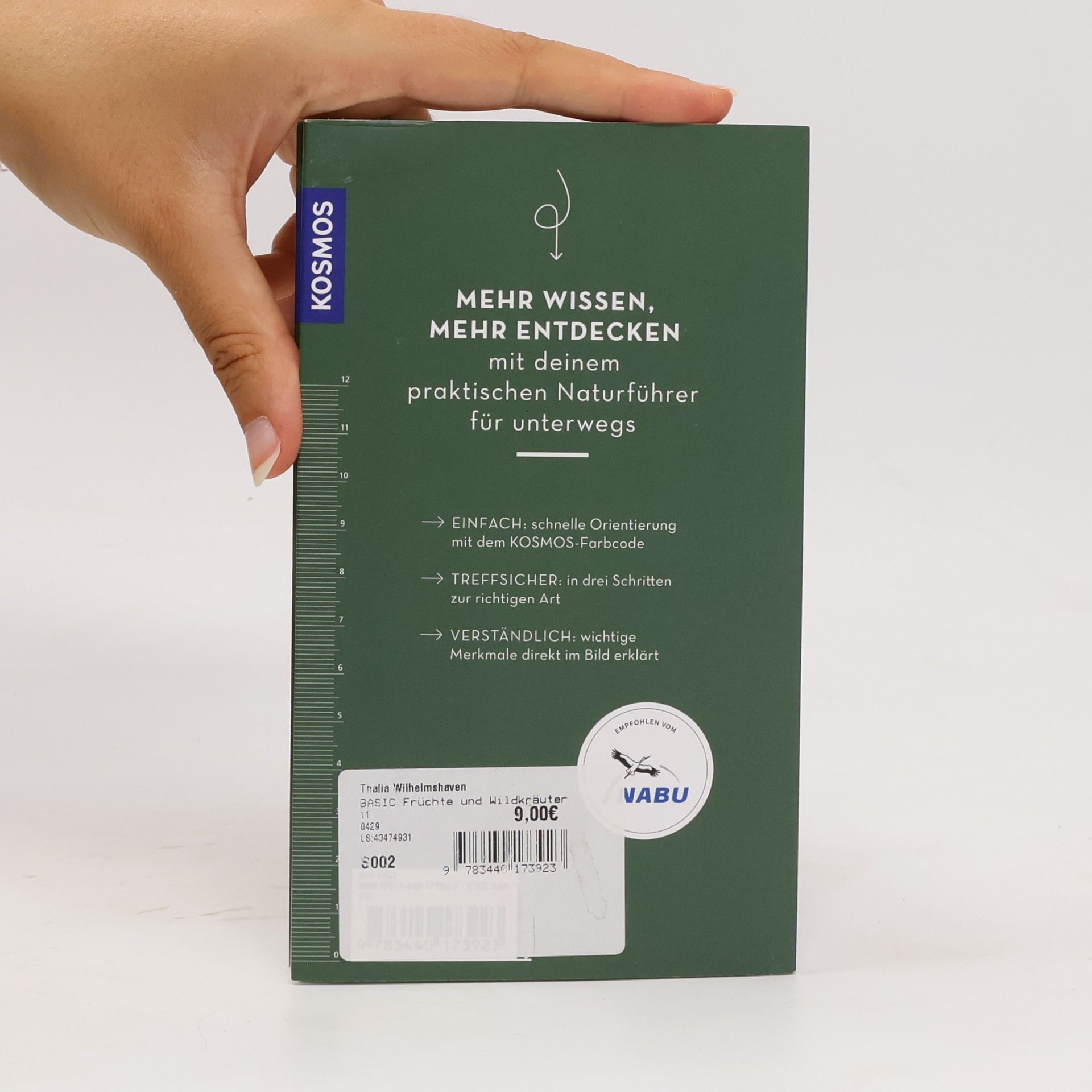 Eva-Maria Dreyer BASIC Früchte und Wildkräuter