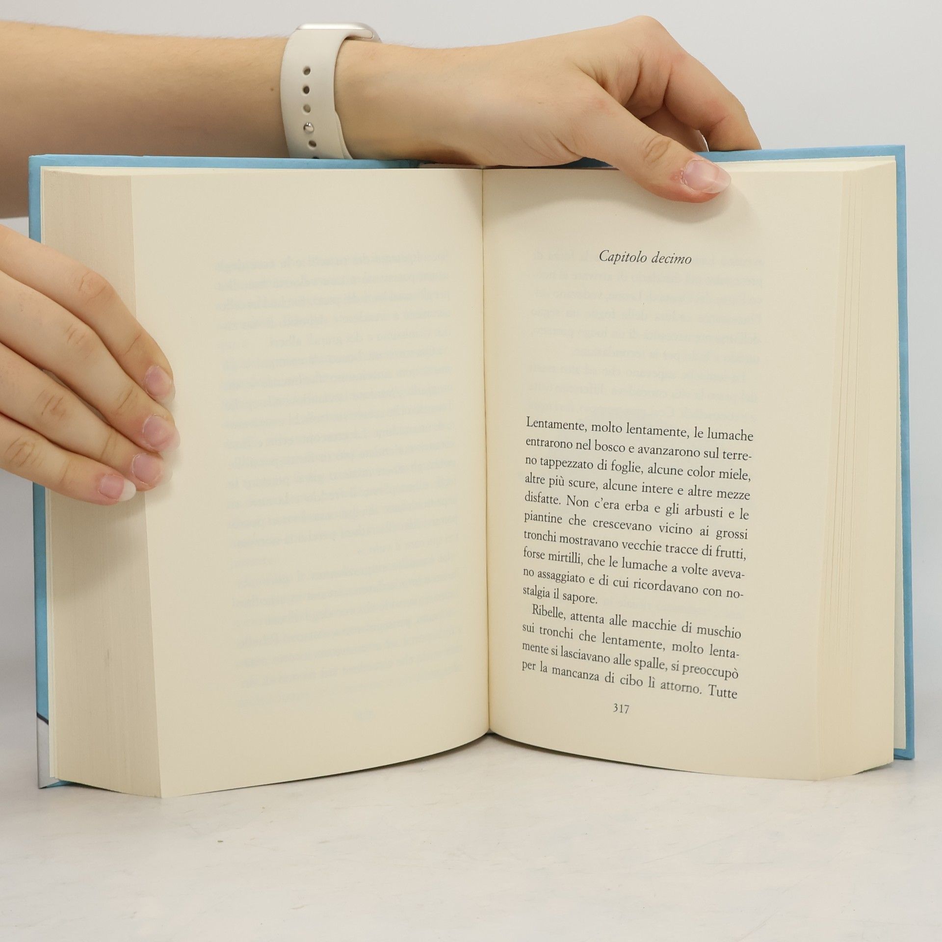 Luis Sepúlveda Il grande libro delle favole