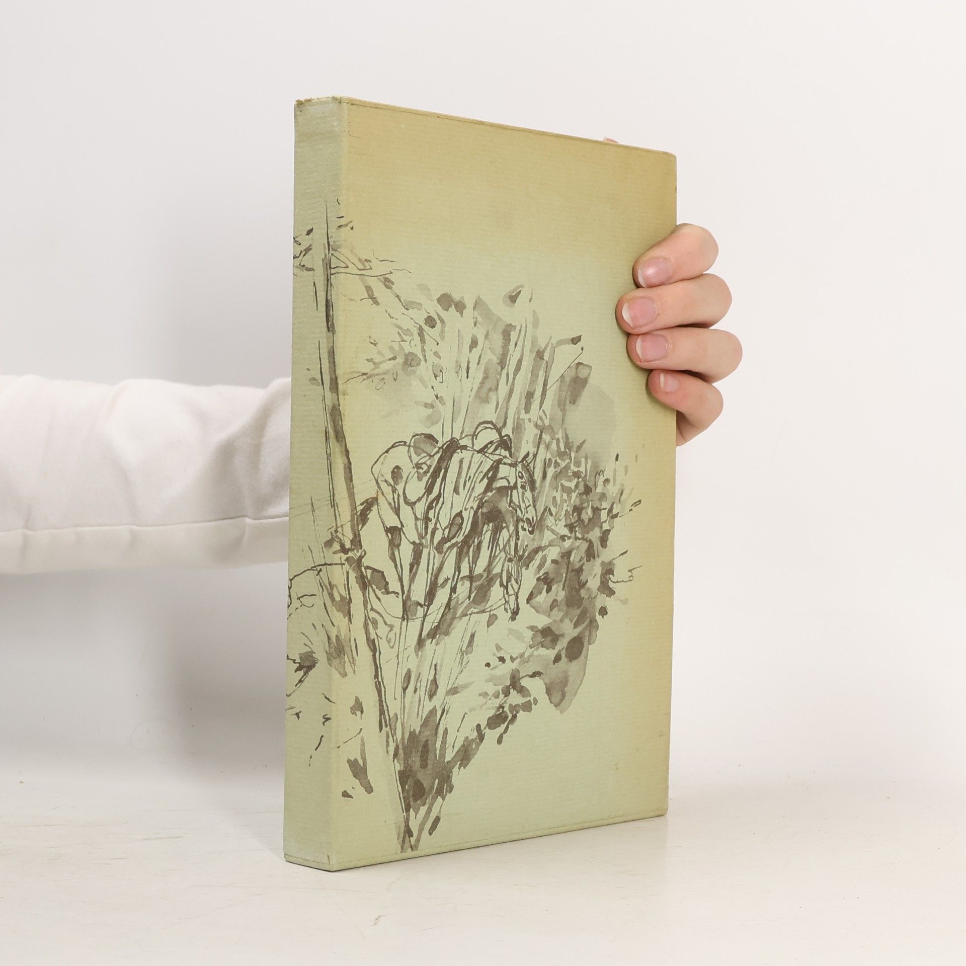 Gustave Flaubert Madame Bovary
