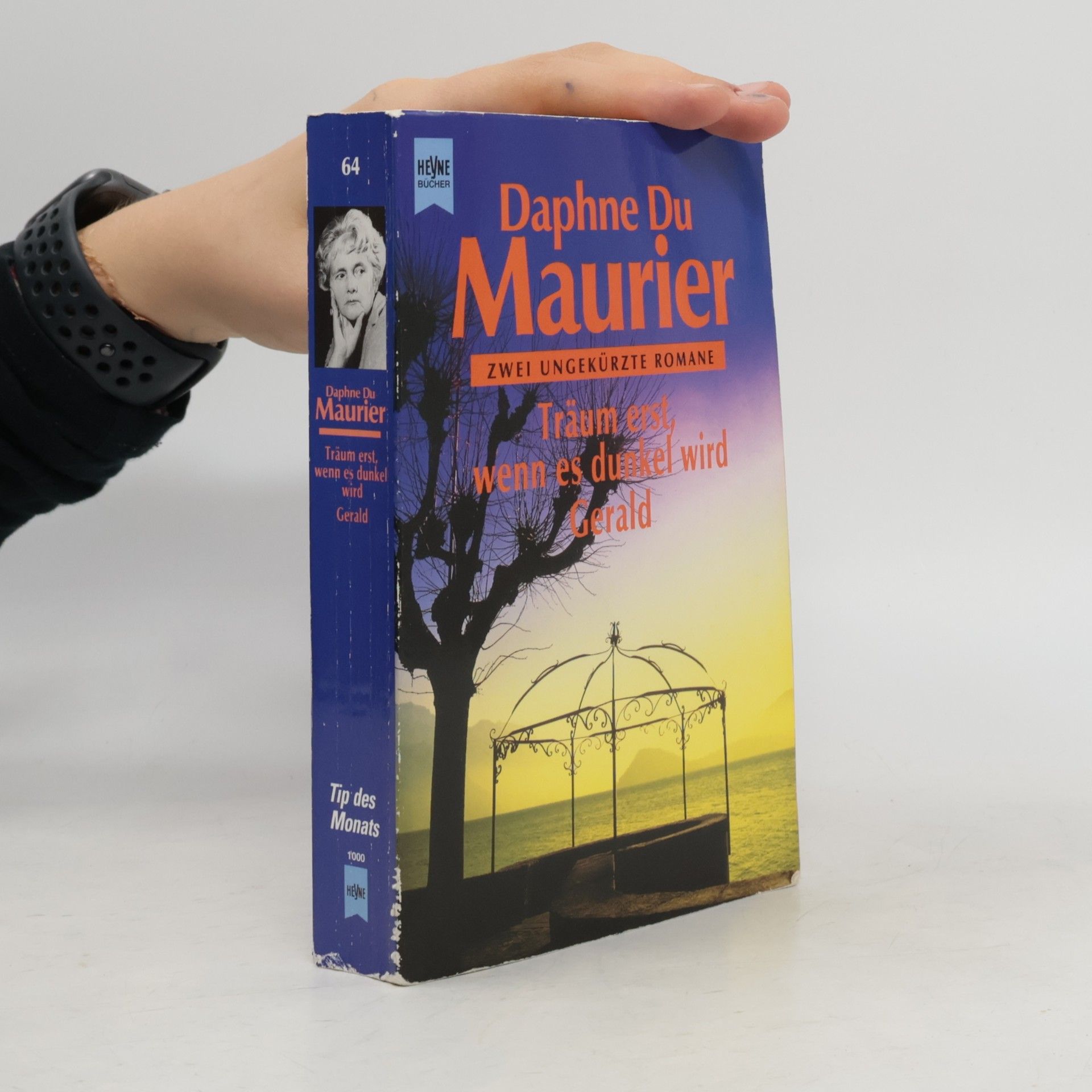 Daphne du Maurier Träum erst, wenn es dunkel wird