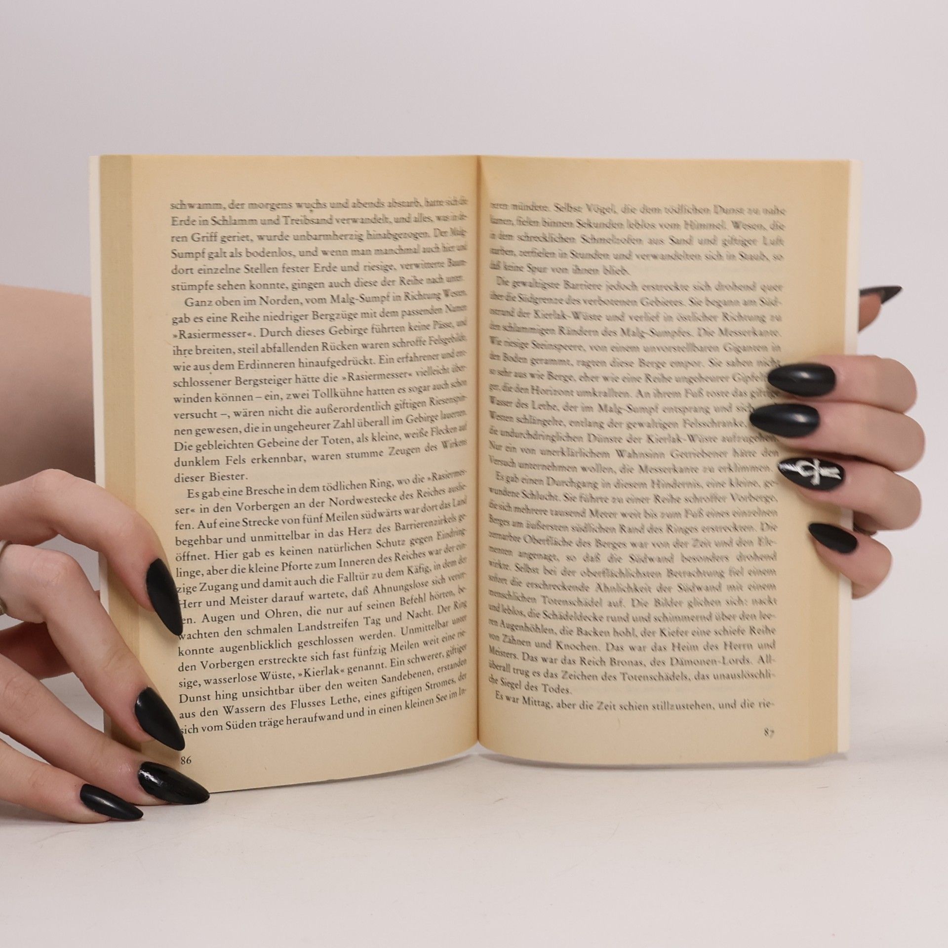 Terry Brooks Der Erbe von Shannara