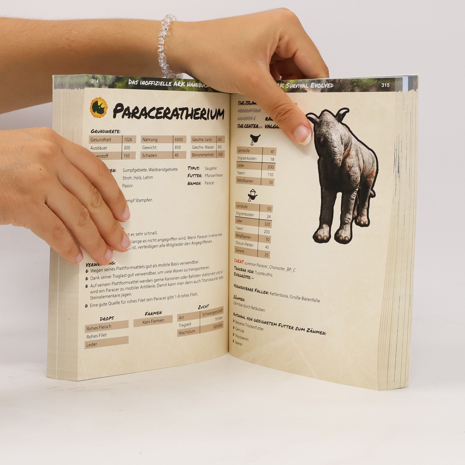 Andreas Zintzsch Das inoffizielle ARK-Handbuch