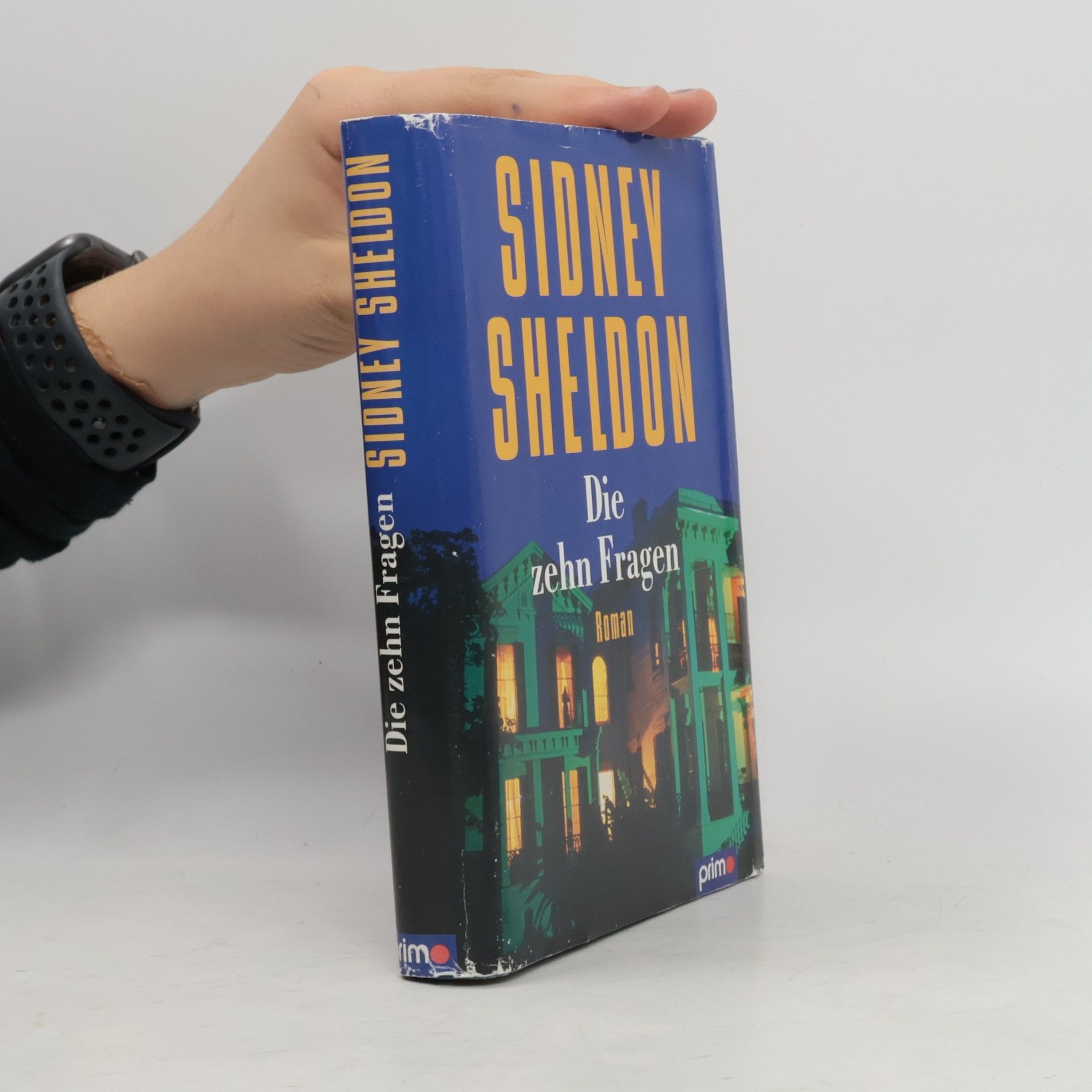 Sidney Sheldon Die zehn Fragen