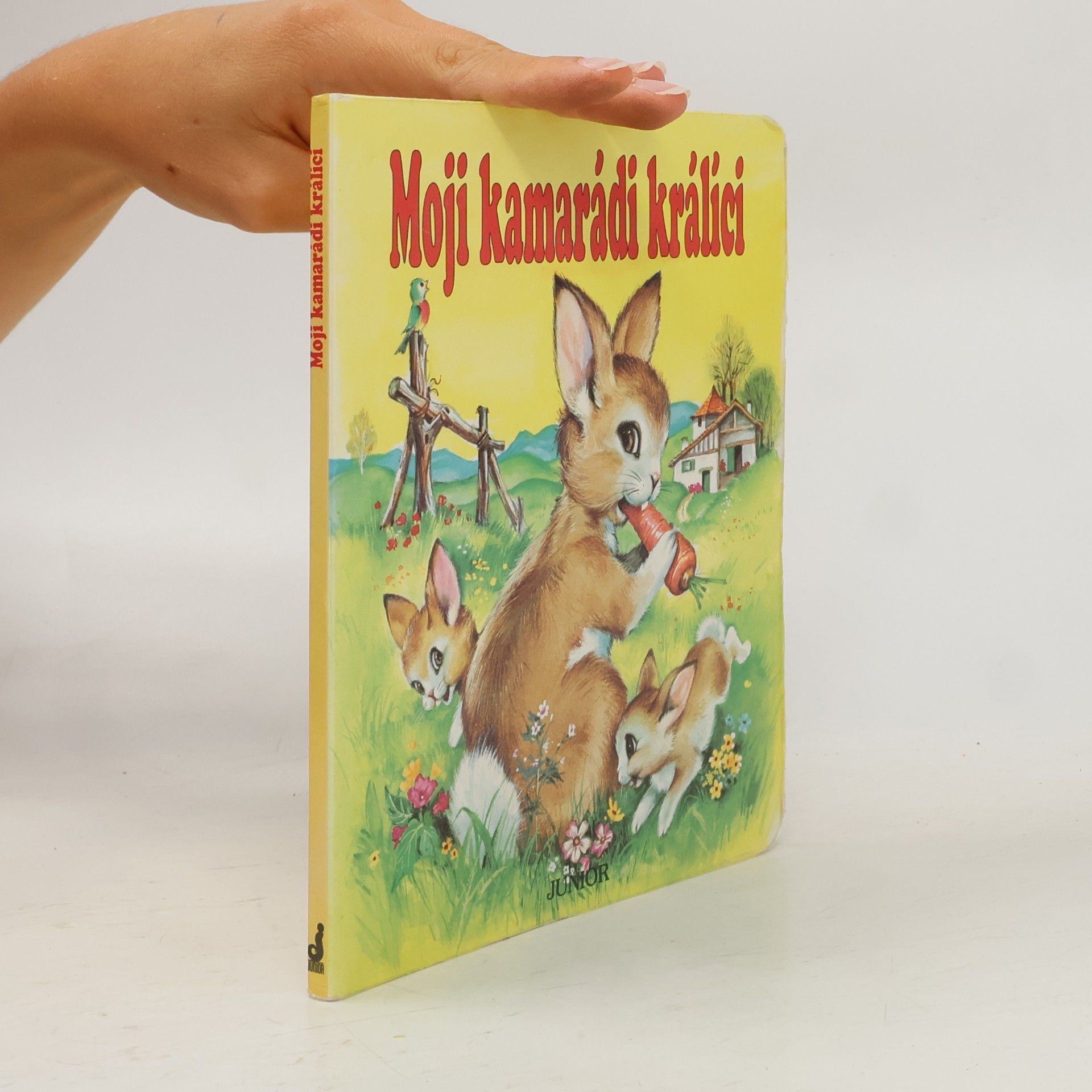 Kolektiv autorů Moji kamarádi králíci