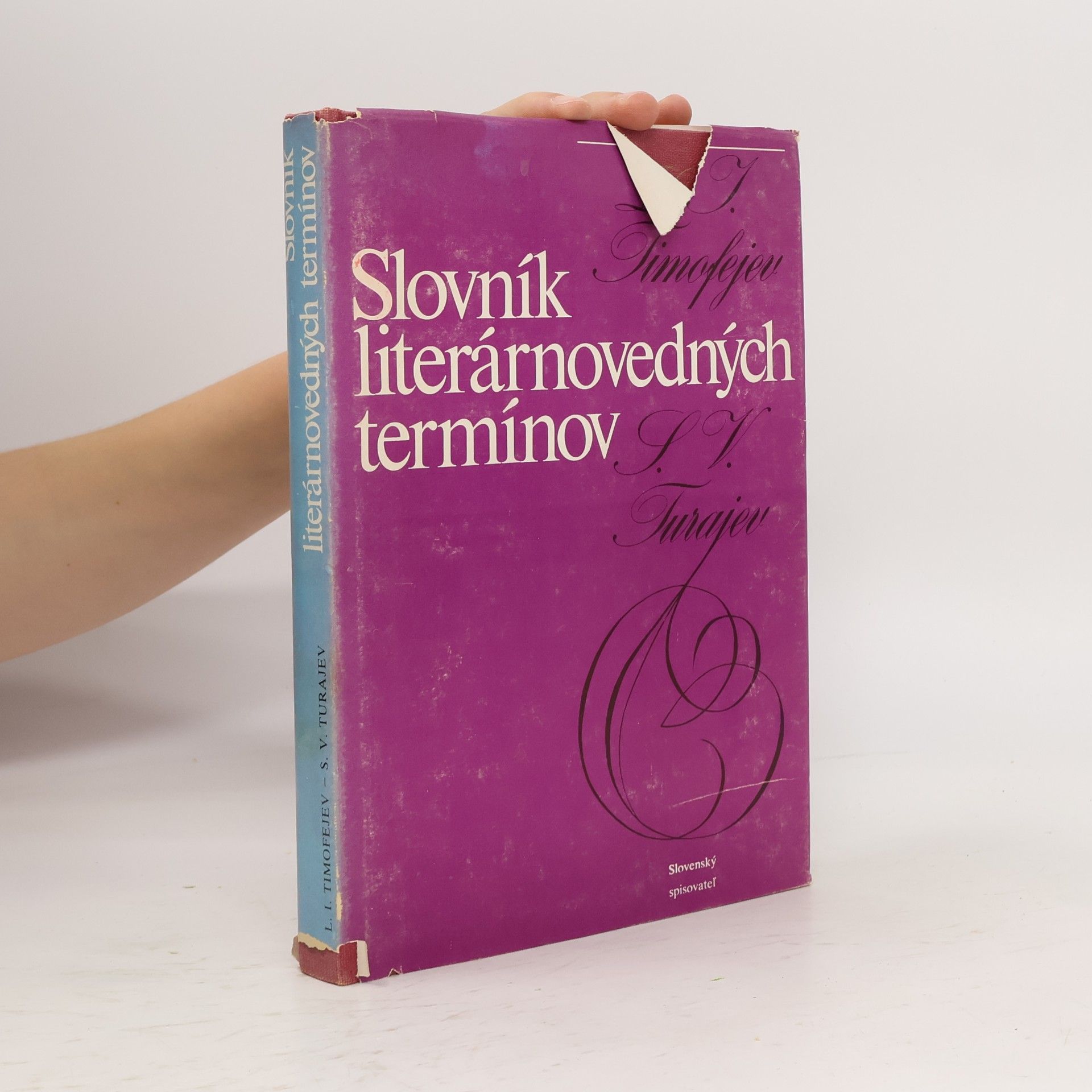 Kolektiv autorů Slovník literárnovedných termínov