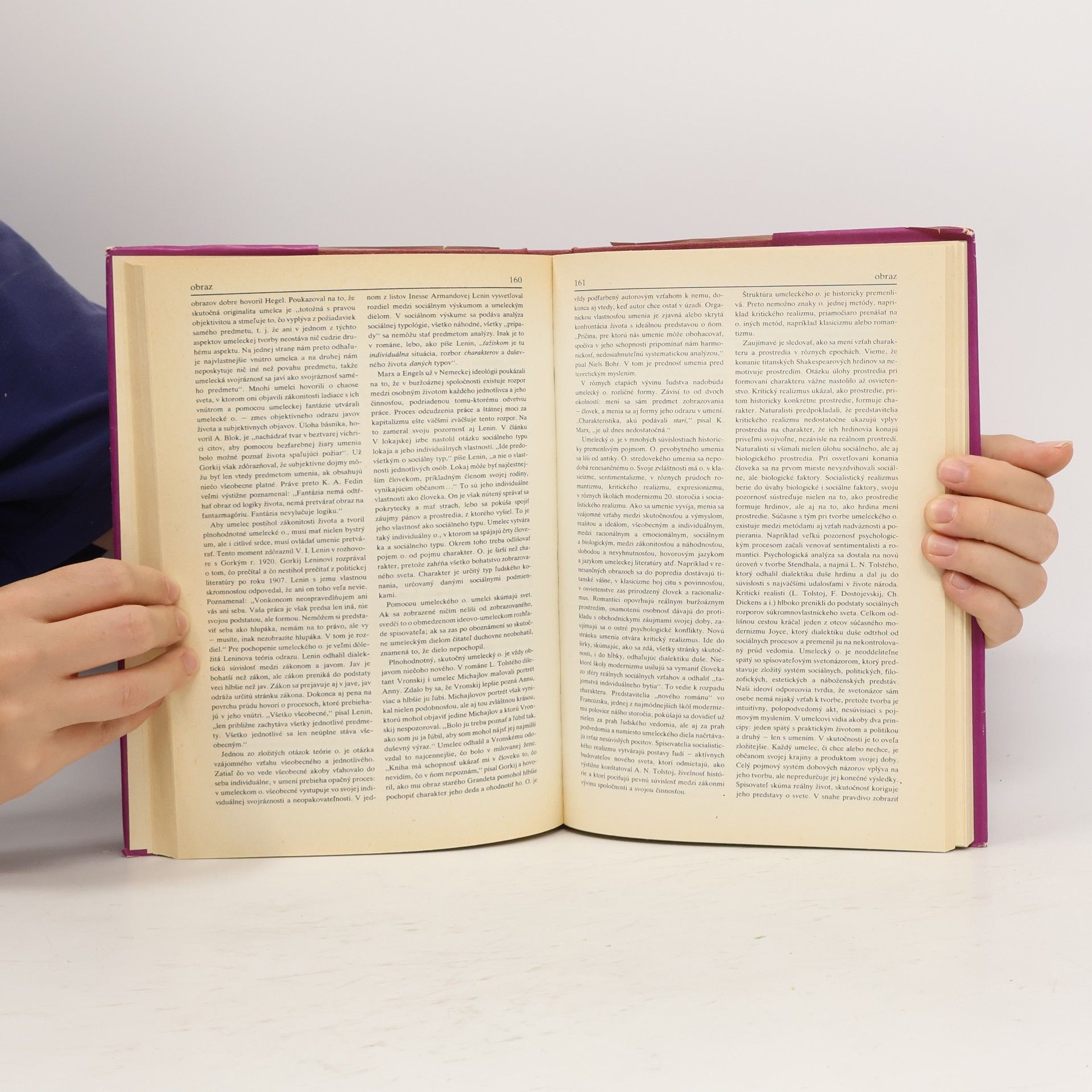 Kolektiv autorů Slovník literárnovedných termínov