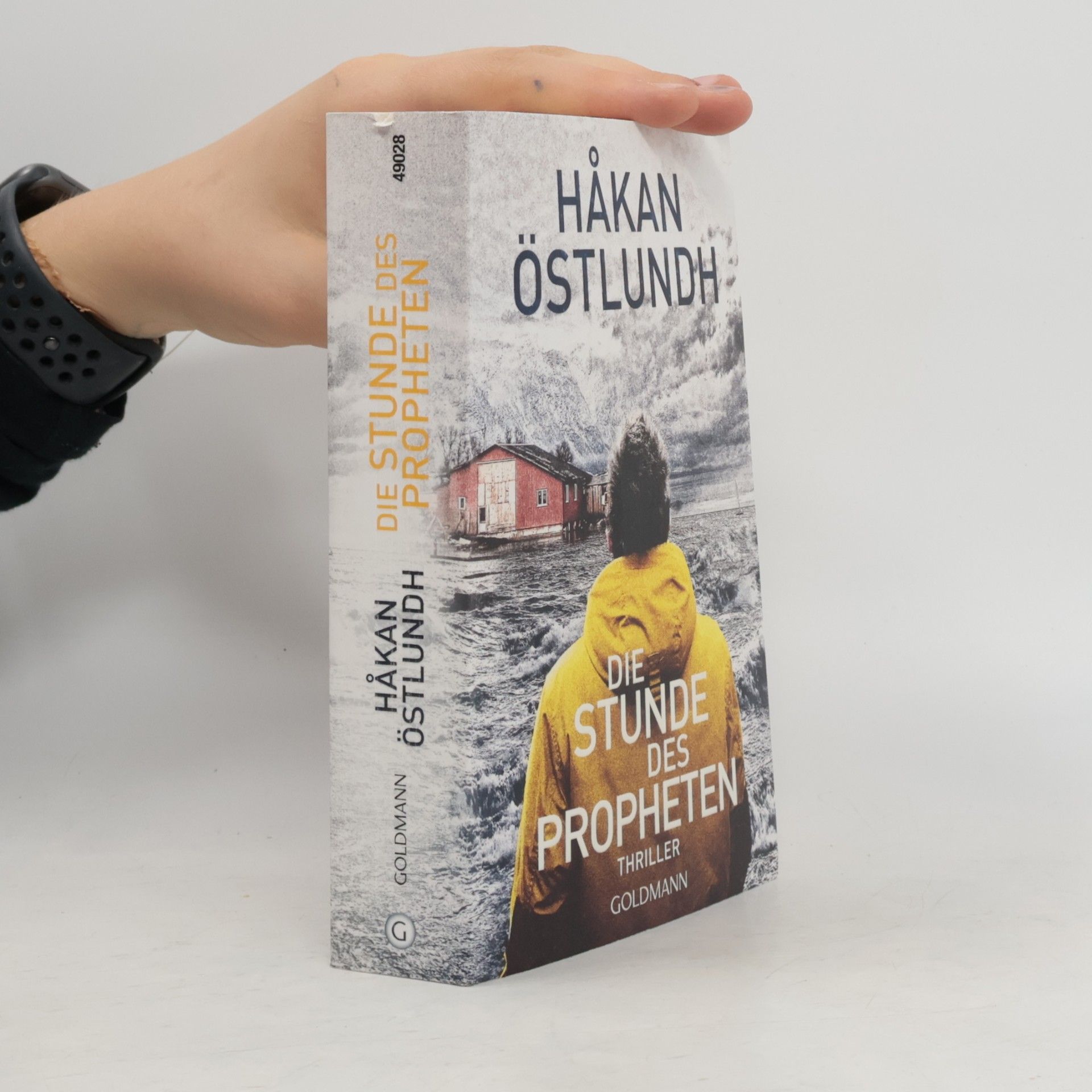 Håkan Östlundh Die Stunde des Propheten