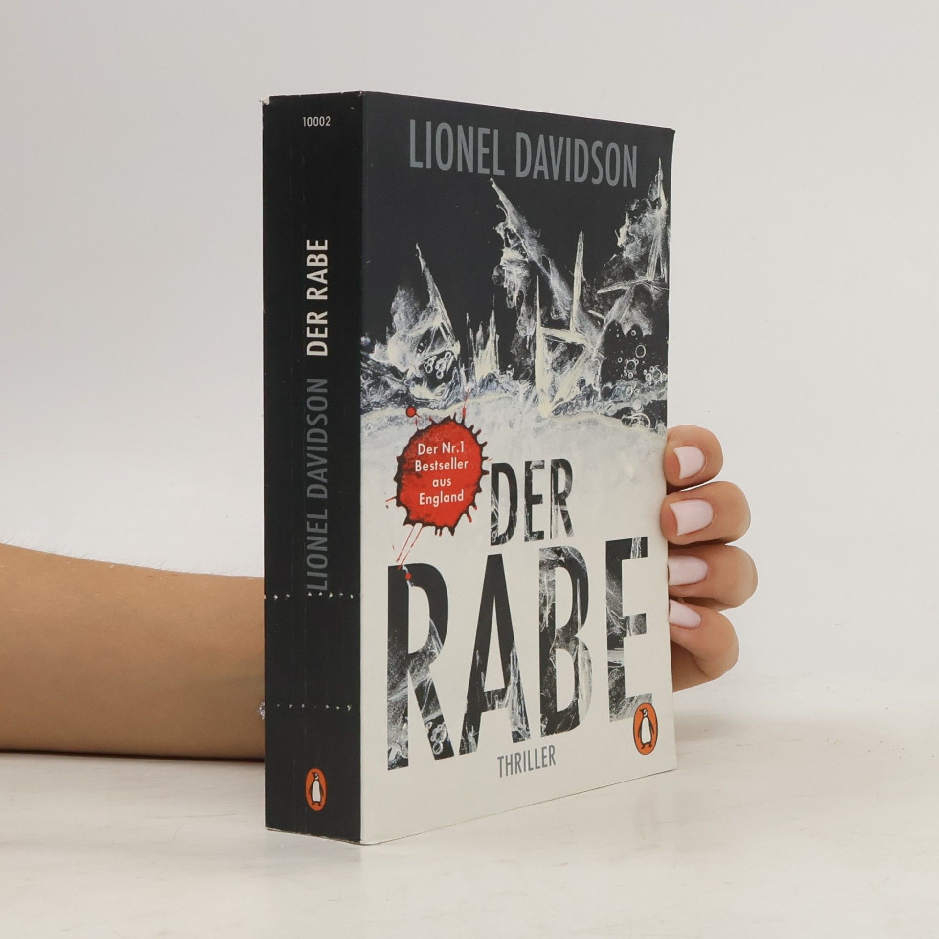 Lionel Davidson Der Rabe
