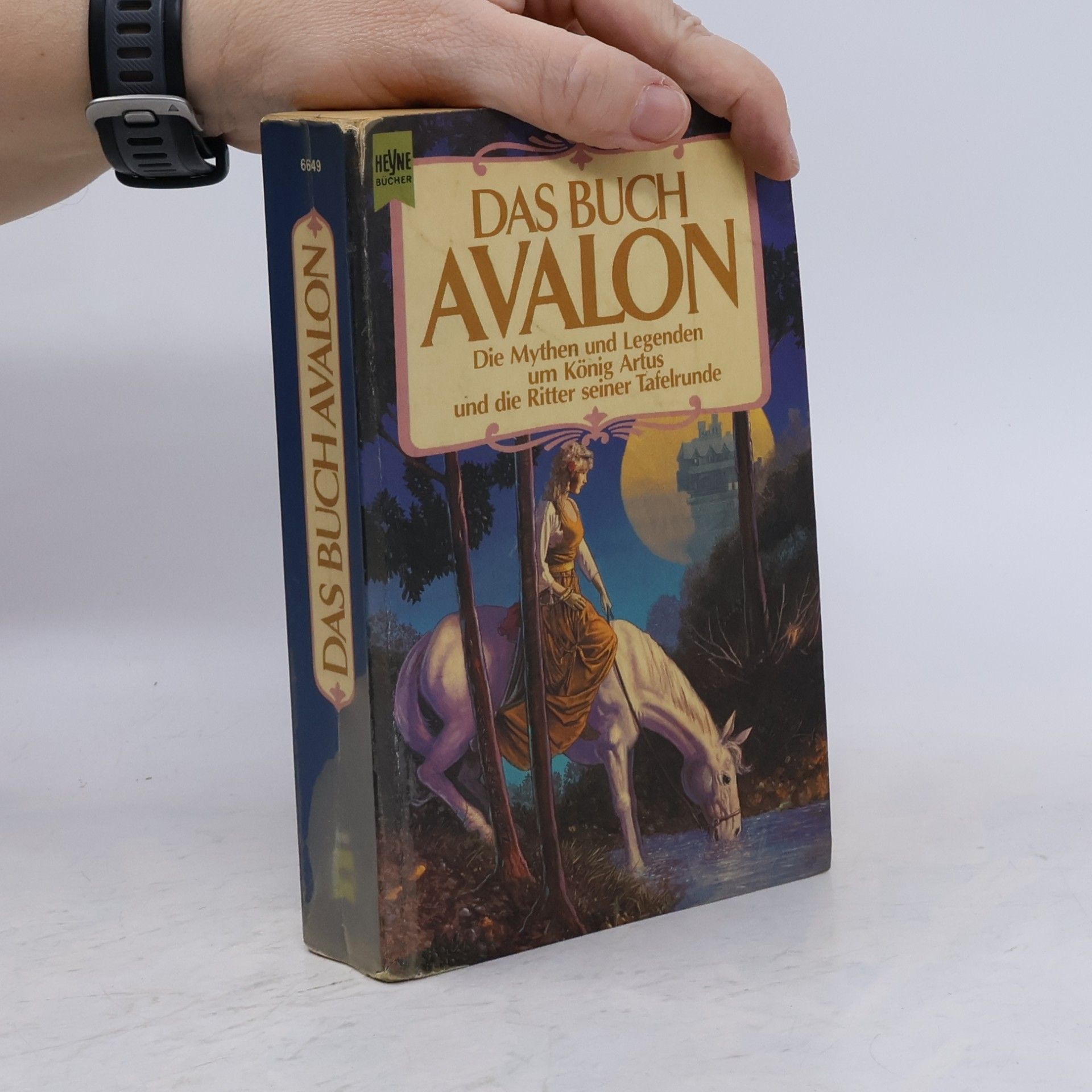 Autorenkollektiv Das Buch Avalon