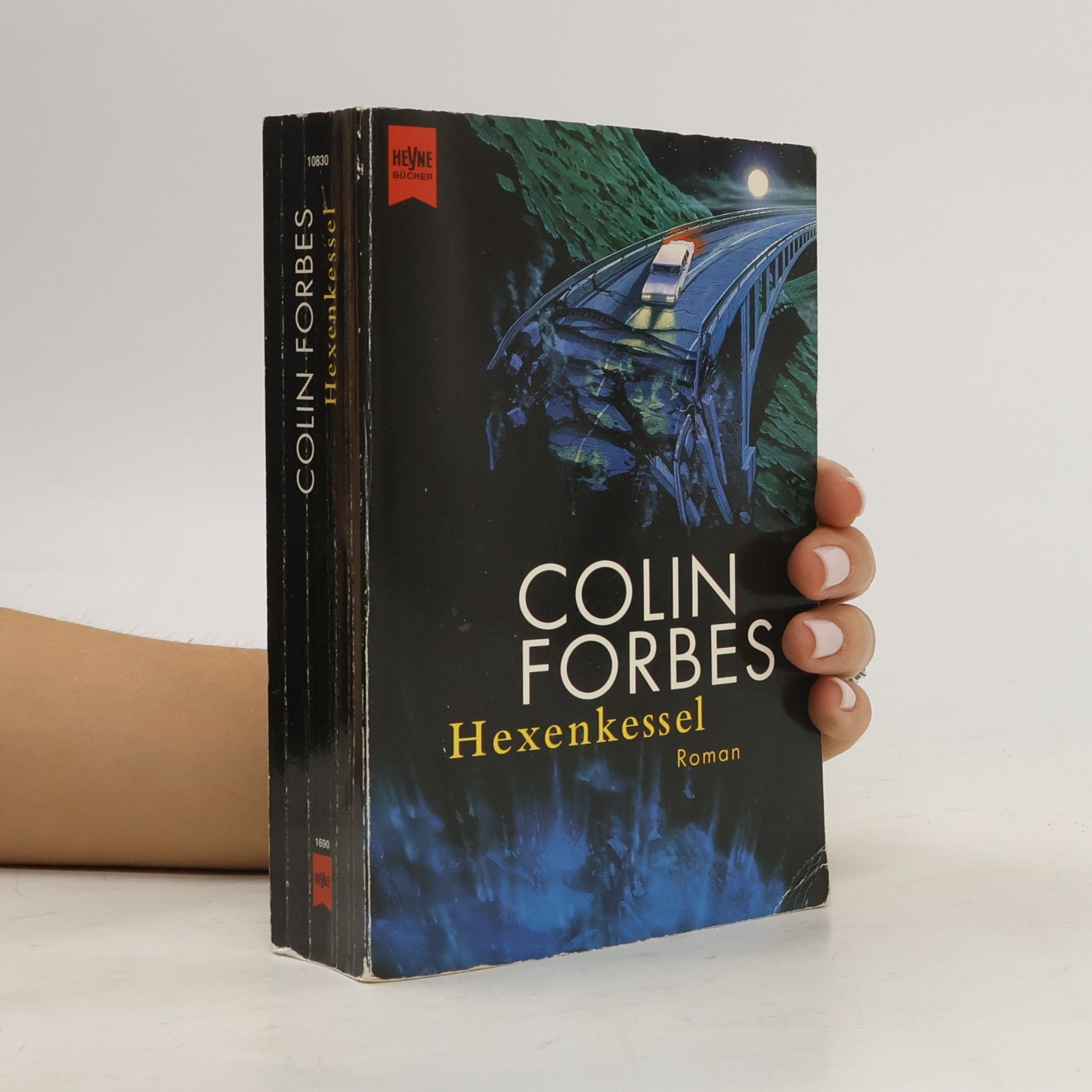 Colin Forbes Hexenkessel