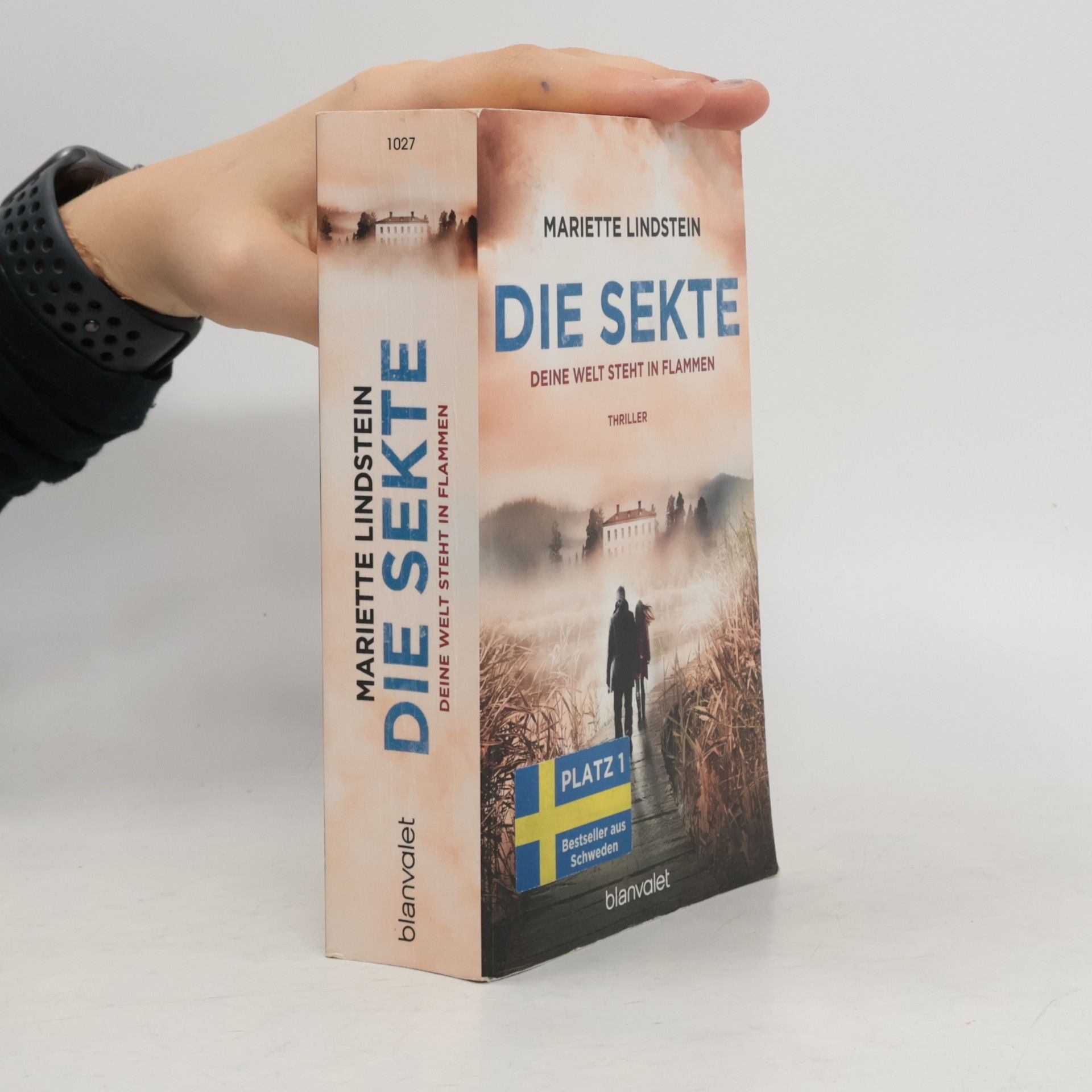 Mariette Lindstein Die Sekte: Deine Welt steht in Flammen