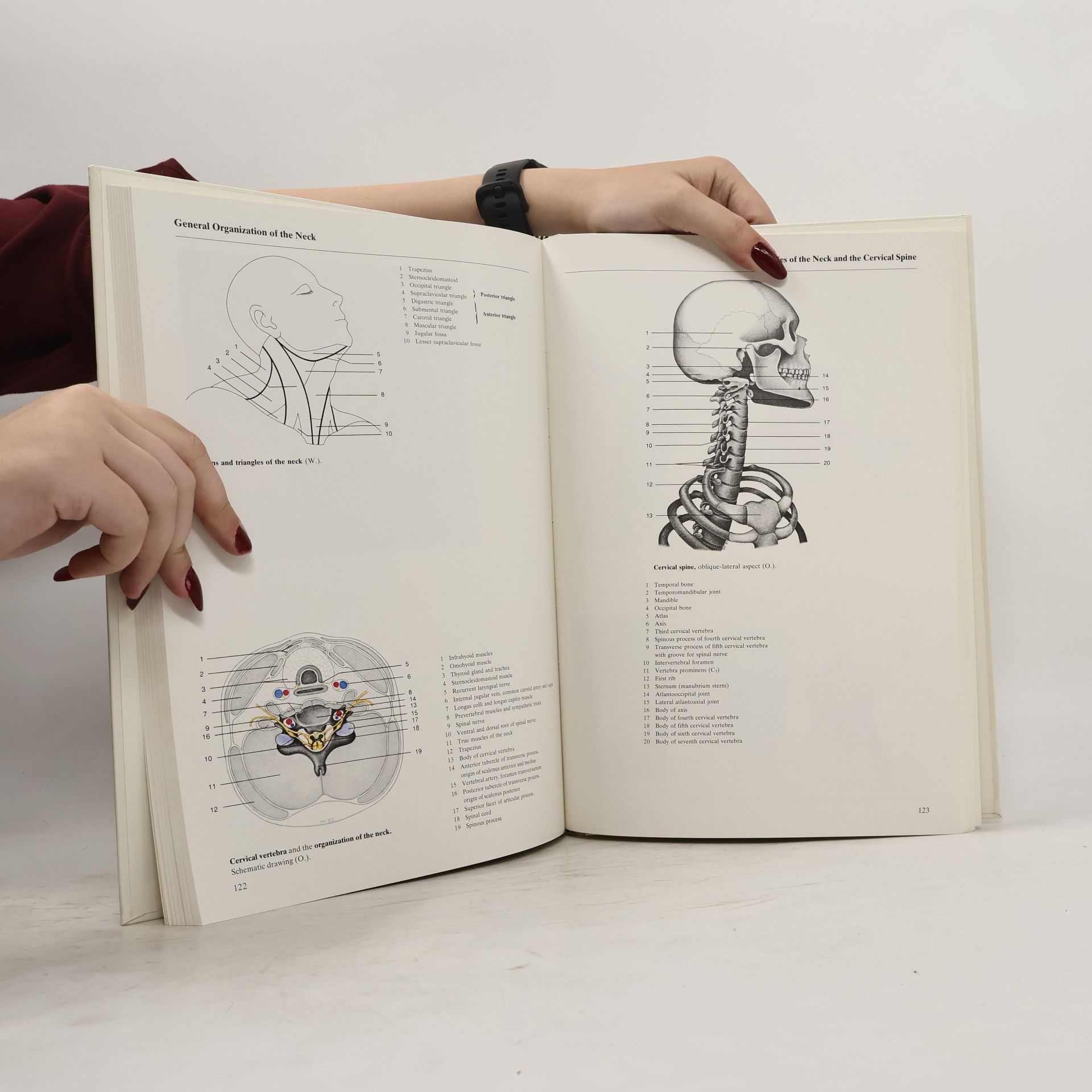 Johannes W. Rohen Human Anatomy
