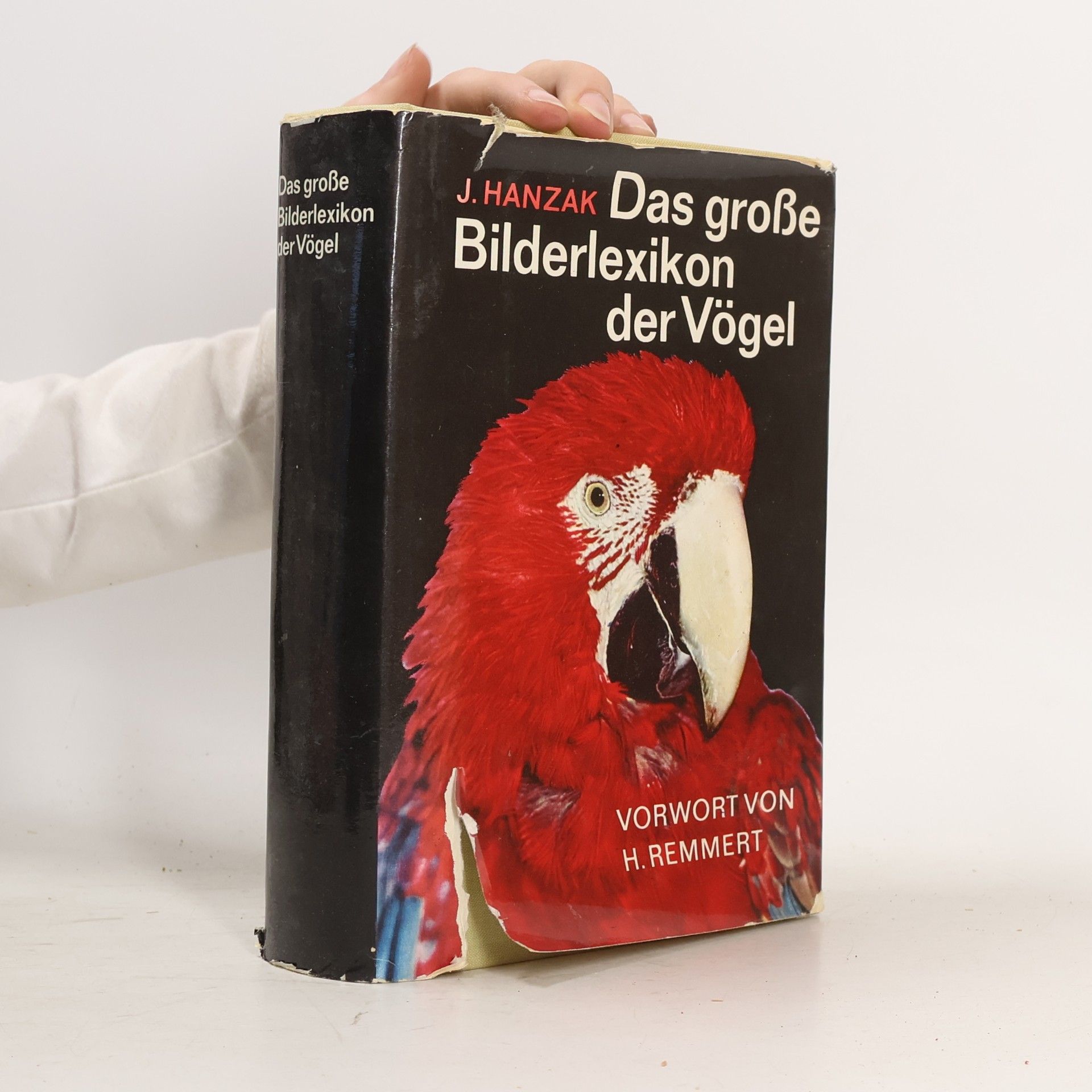 Das große Bilderlexikon der Vögel