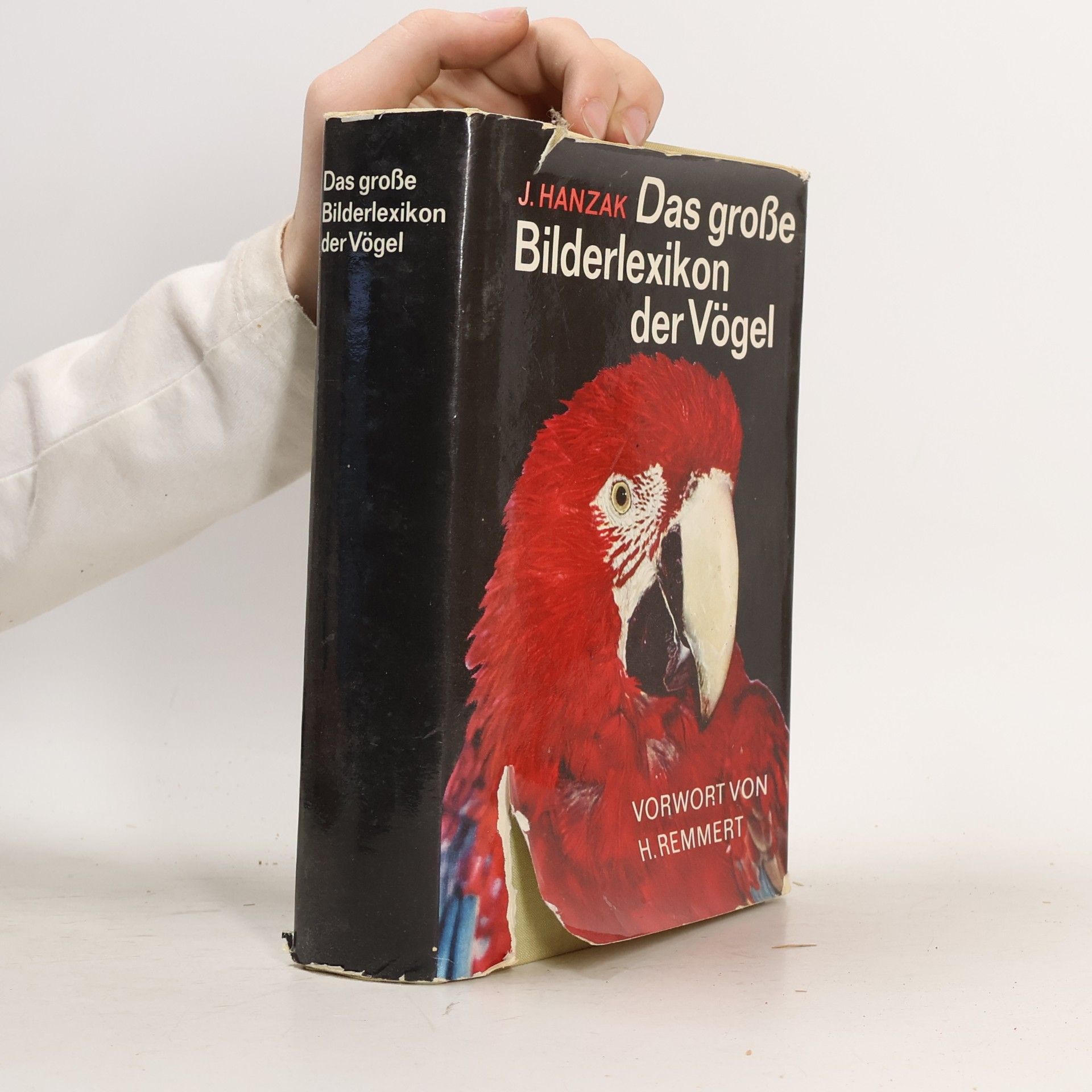 Jan Hanzák Das große Bilderlexikon der Vögel