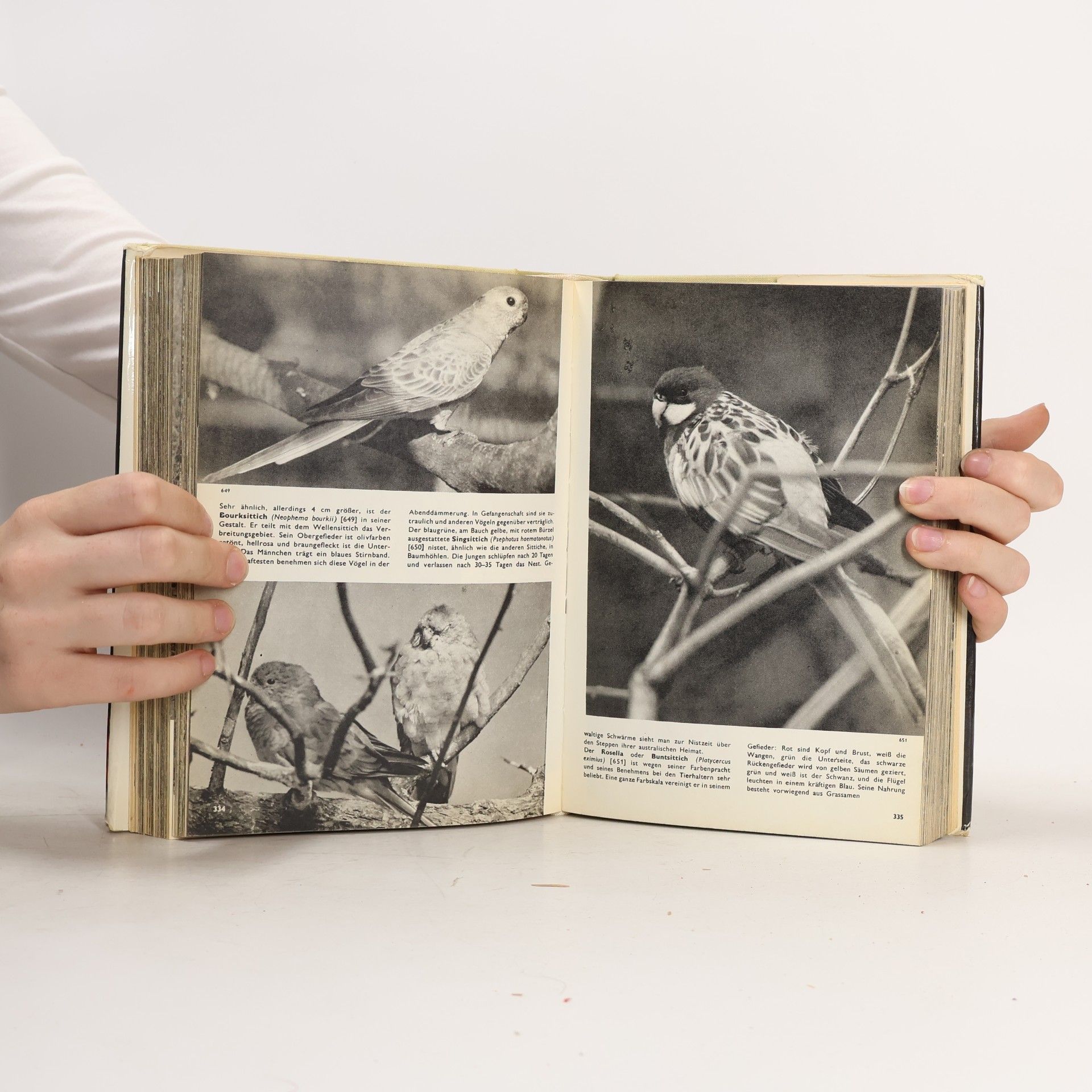 Jan Hanzák Das große Bilderlexikon der Vögel
