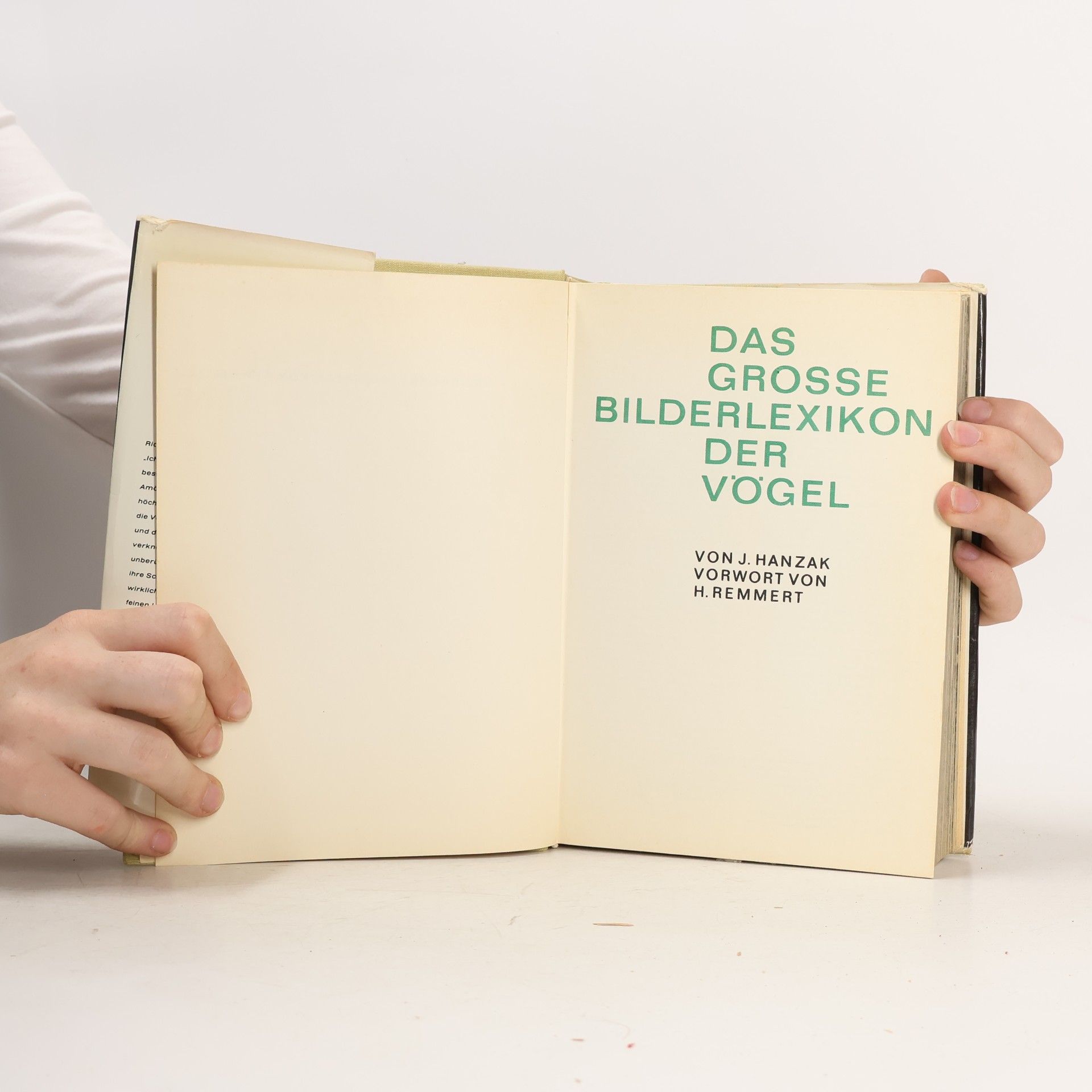 Jan Hanzák Das große Bilderlexikon der Vögel