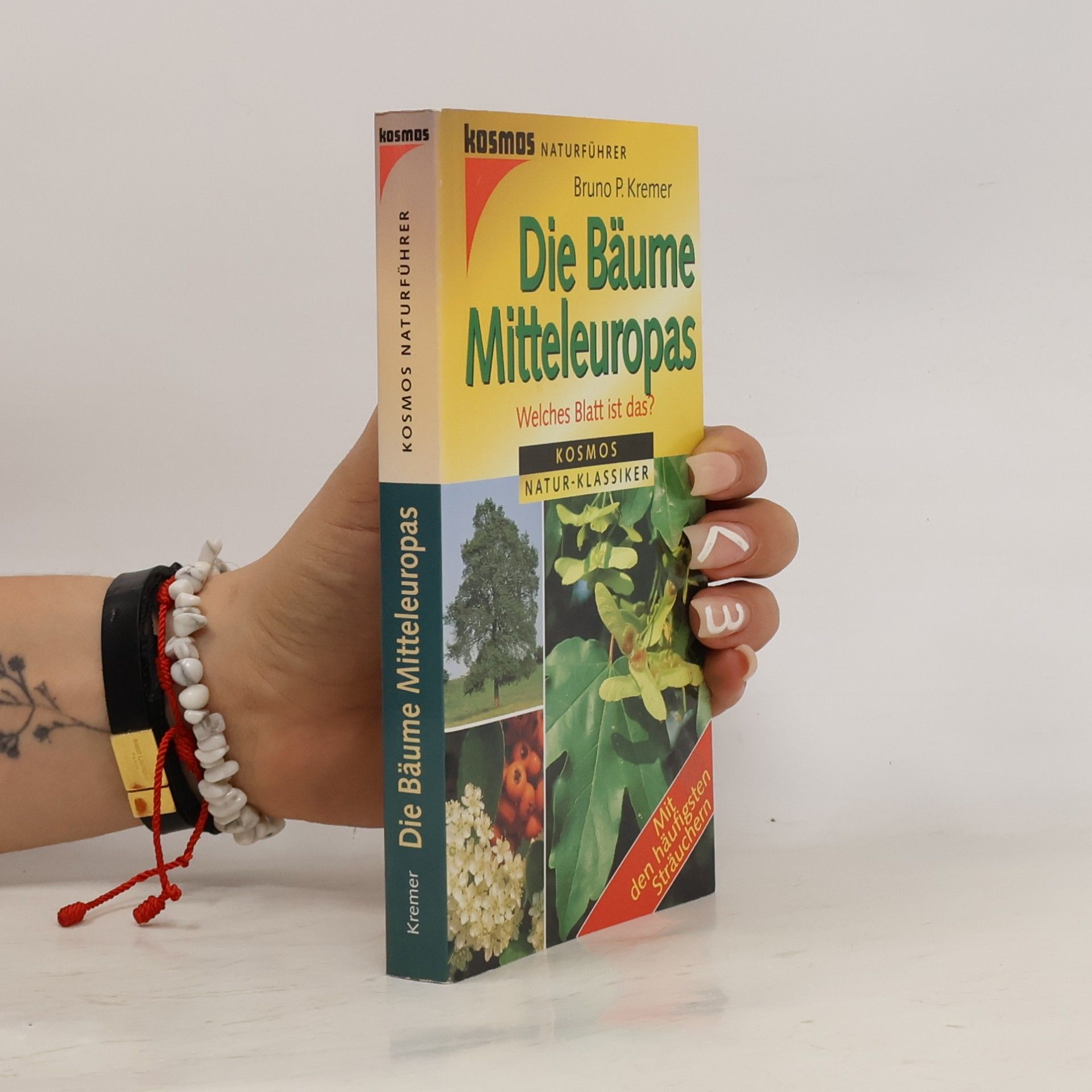 Die Bäume Mitteleuropas