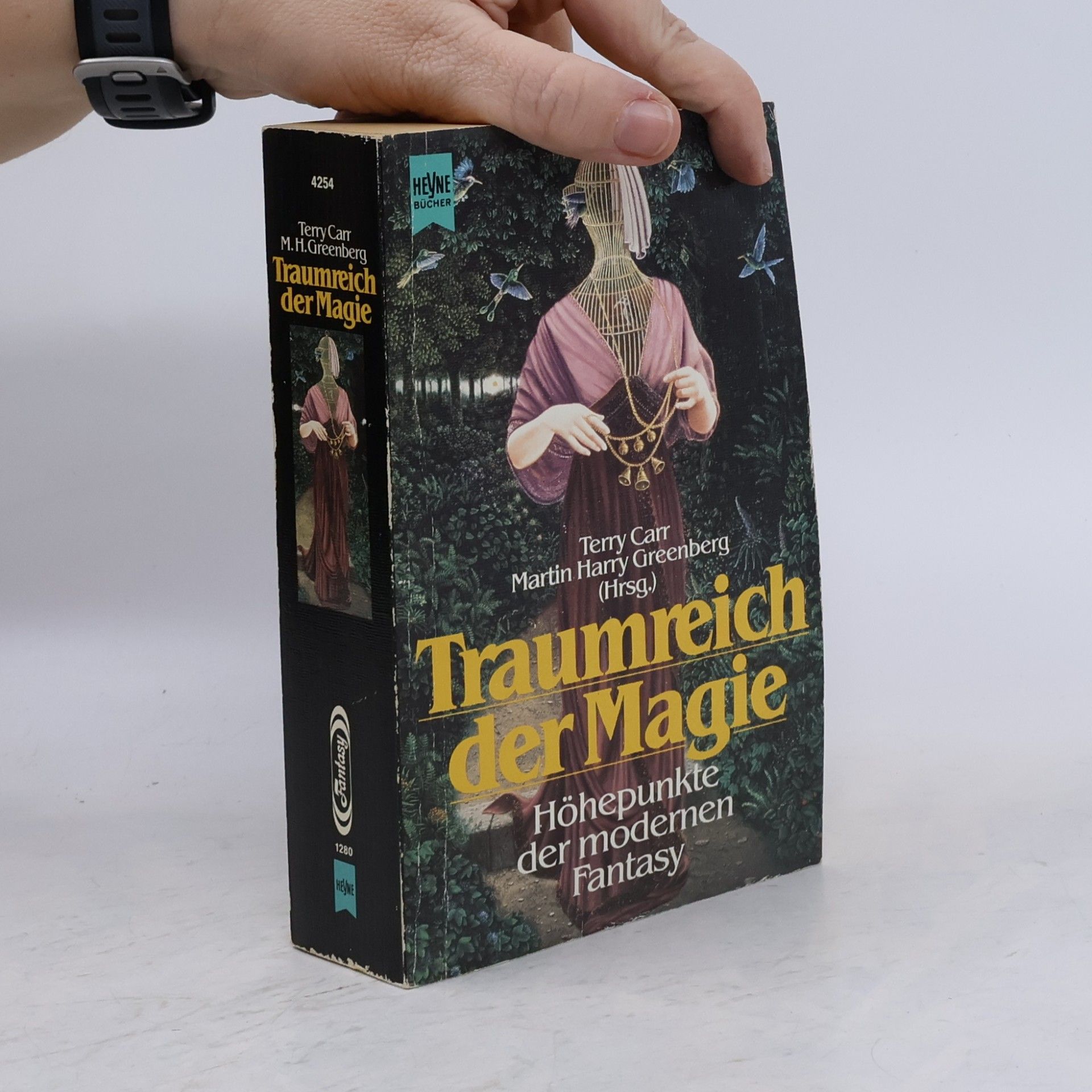 Terry Carr Traumreich der Magie
