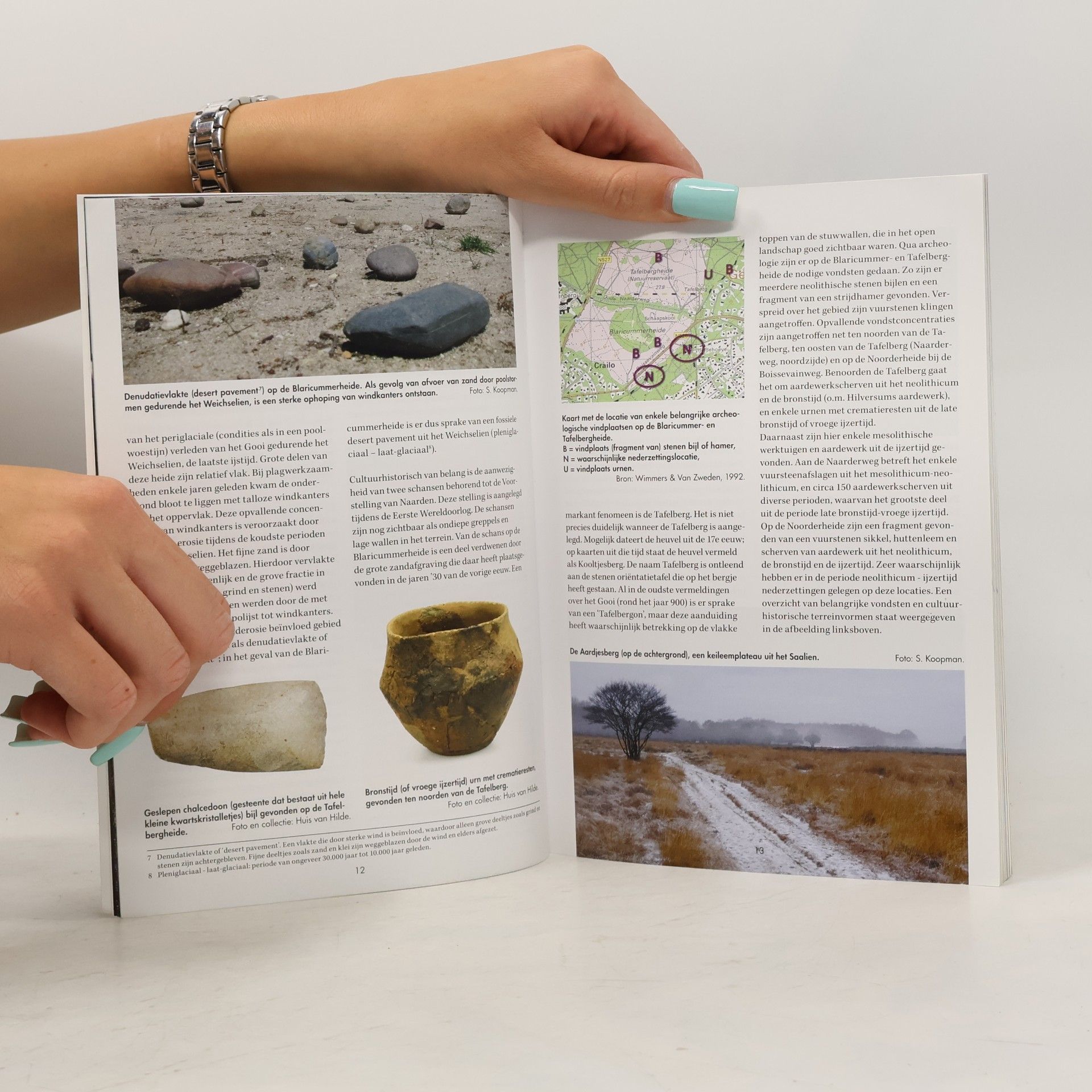Autores varios De Gooise Heide