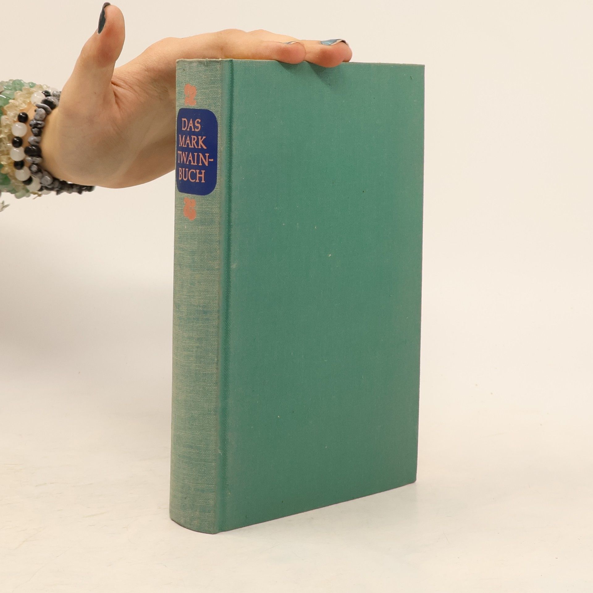 Kolektiv autorů Das Mark-Twain-Buch