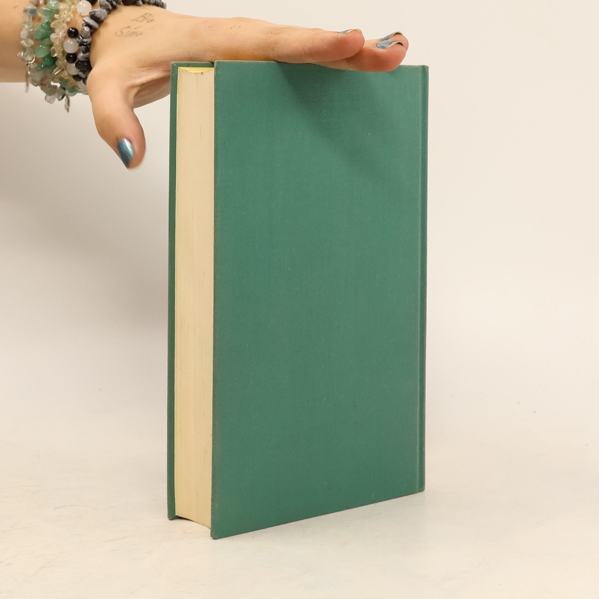 kolektiv Das Mark-Twain-Buch