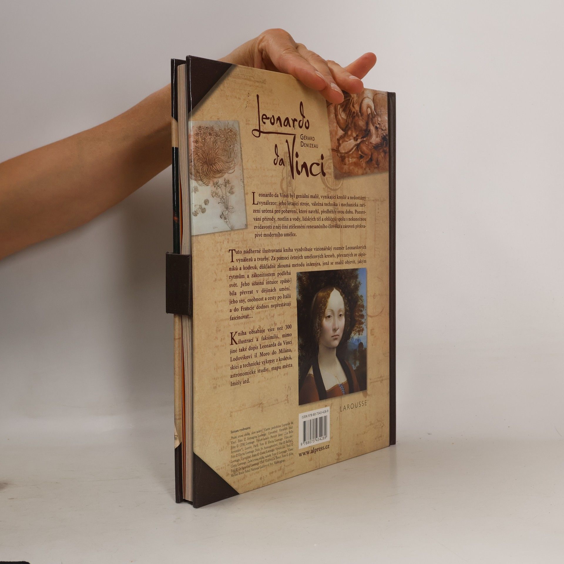 Gérard Denizeau Leonardo da Vinci