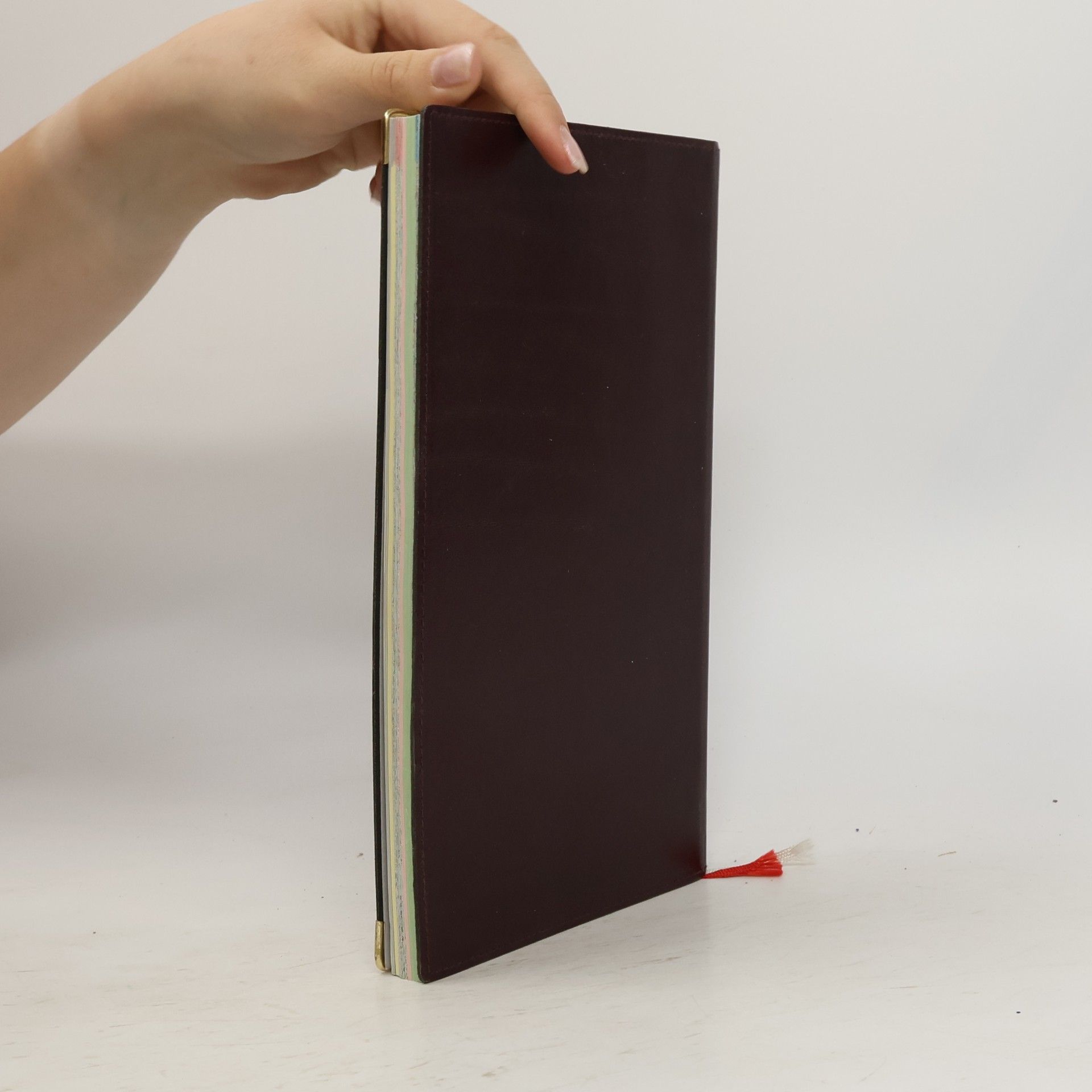 Auteurscollectief Grosser auto atlas. Österreich