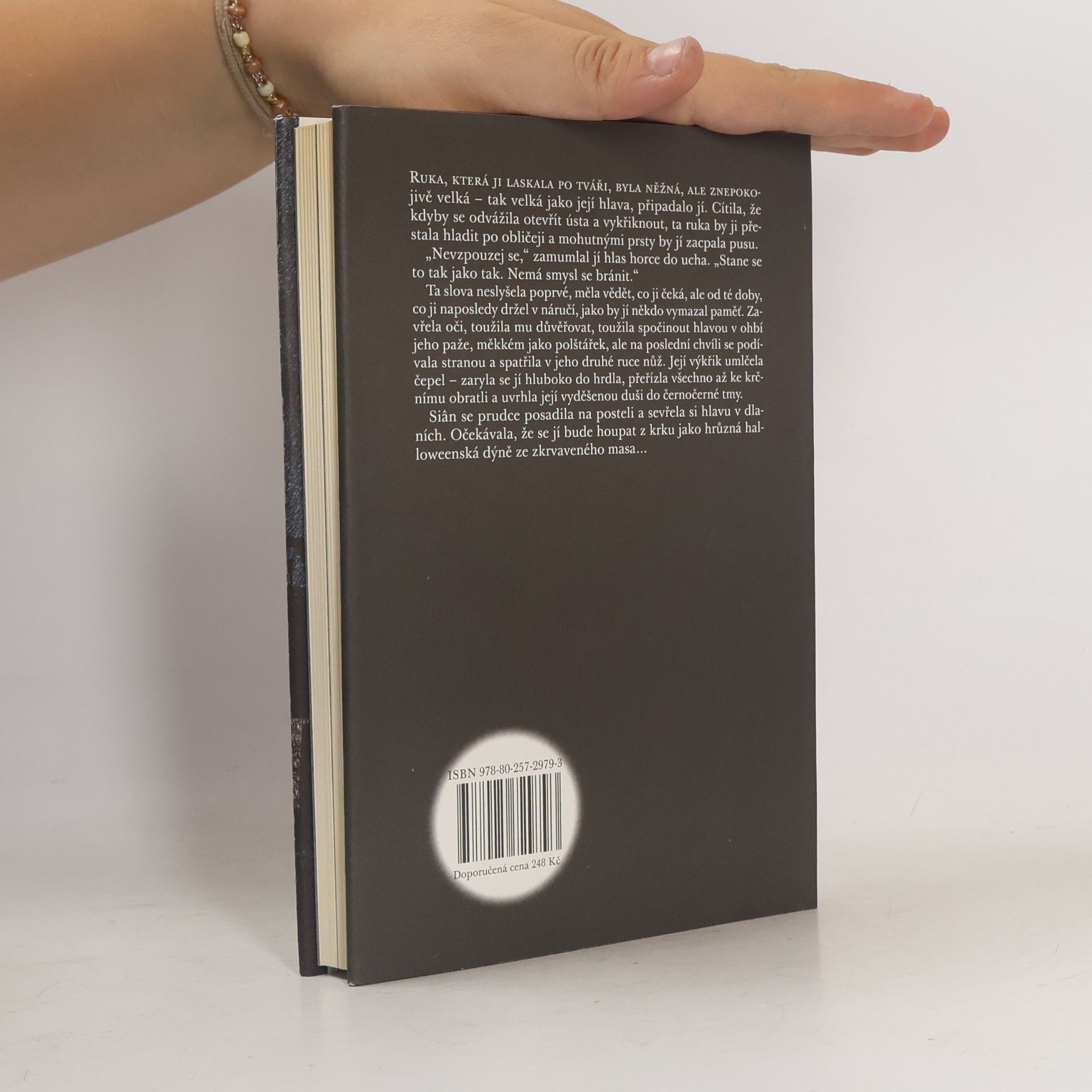 Michel Faber Sto devětadevadesát schodů