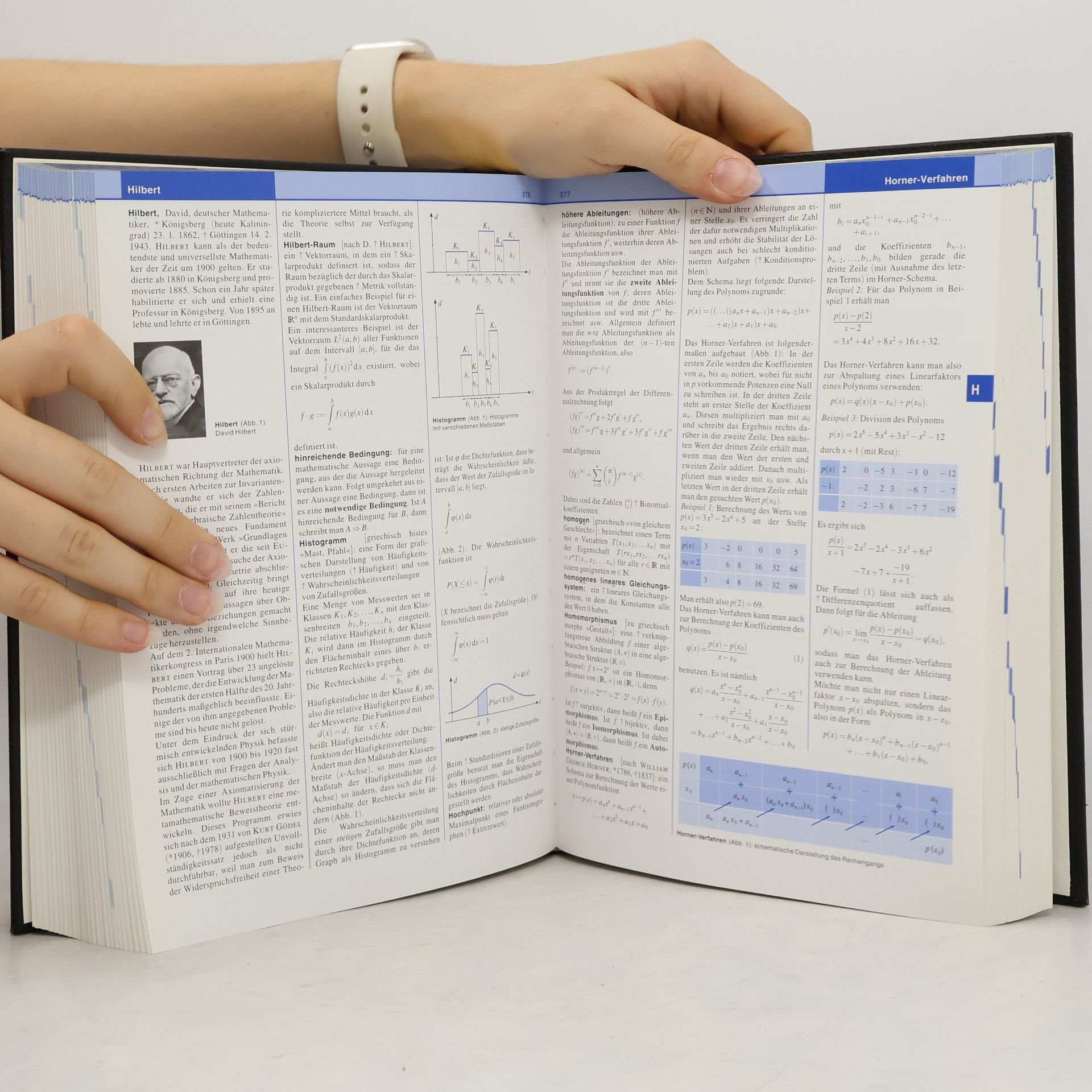 Simone Senk Brockhaus Themenwissen: Mathematik I, Mathematik II, Informatik A-K