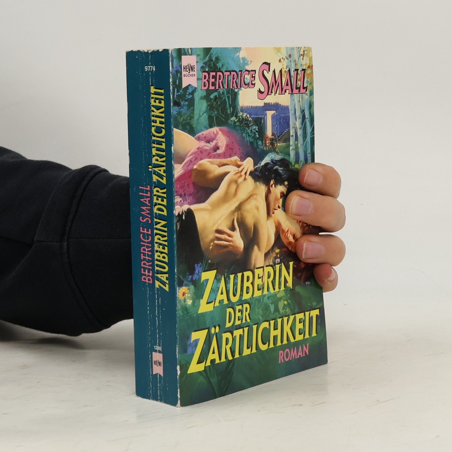 Bertrice Small Zauberin der Zärtlichkeit.